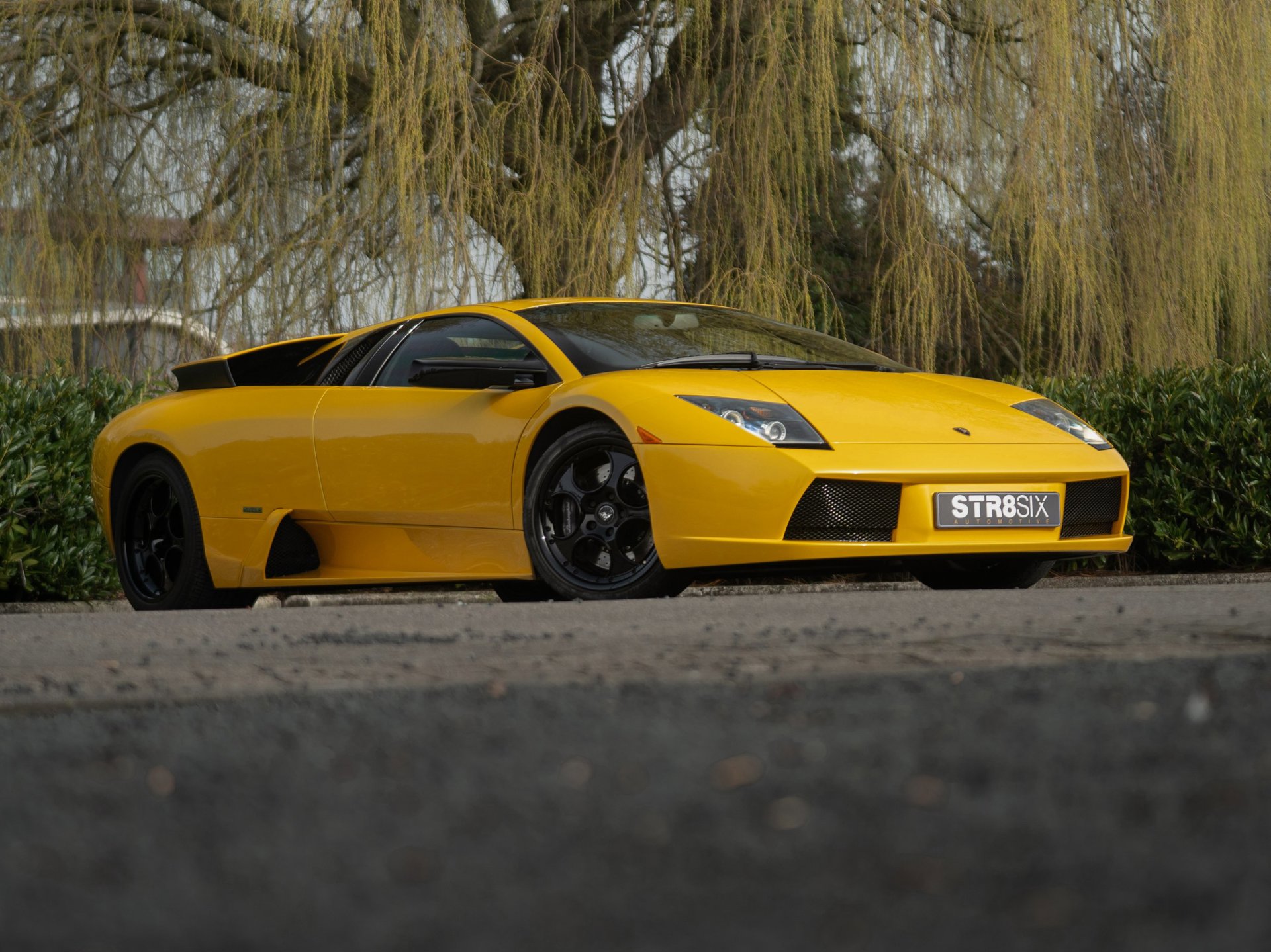 Foto van Lamborghini 147 Murcielago