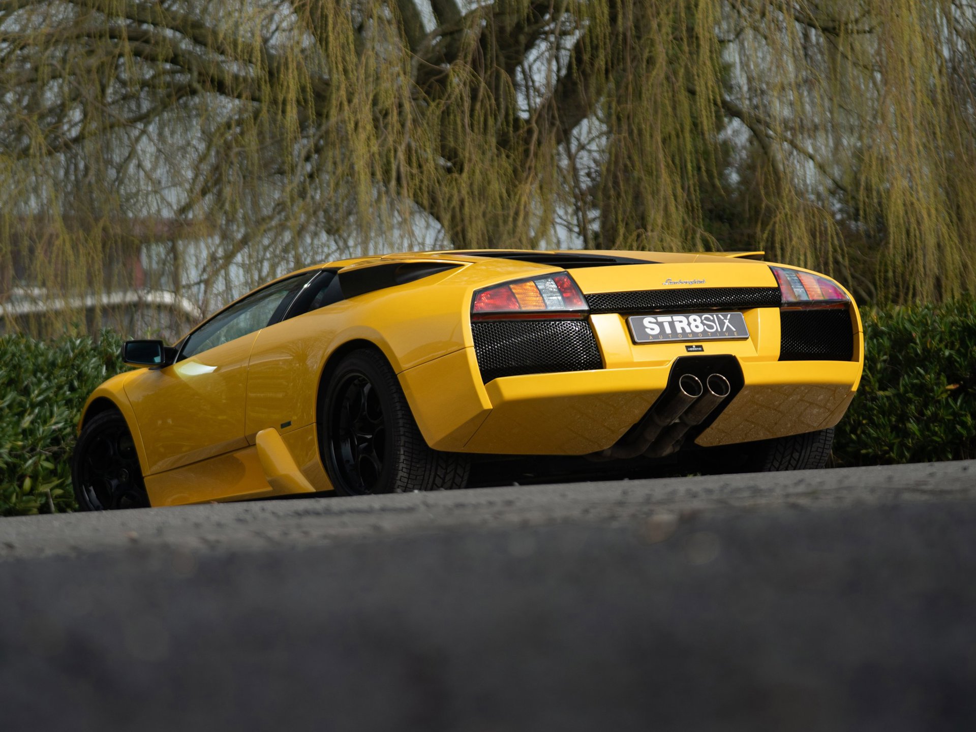 Foto van Lamborghini 147 Murcielago