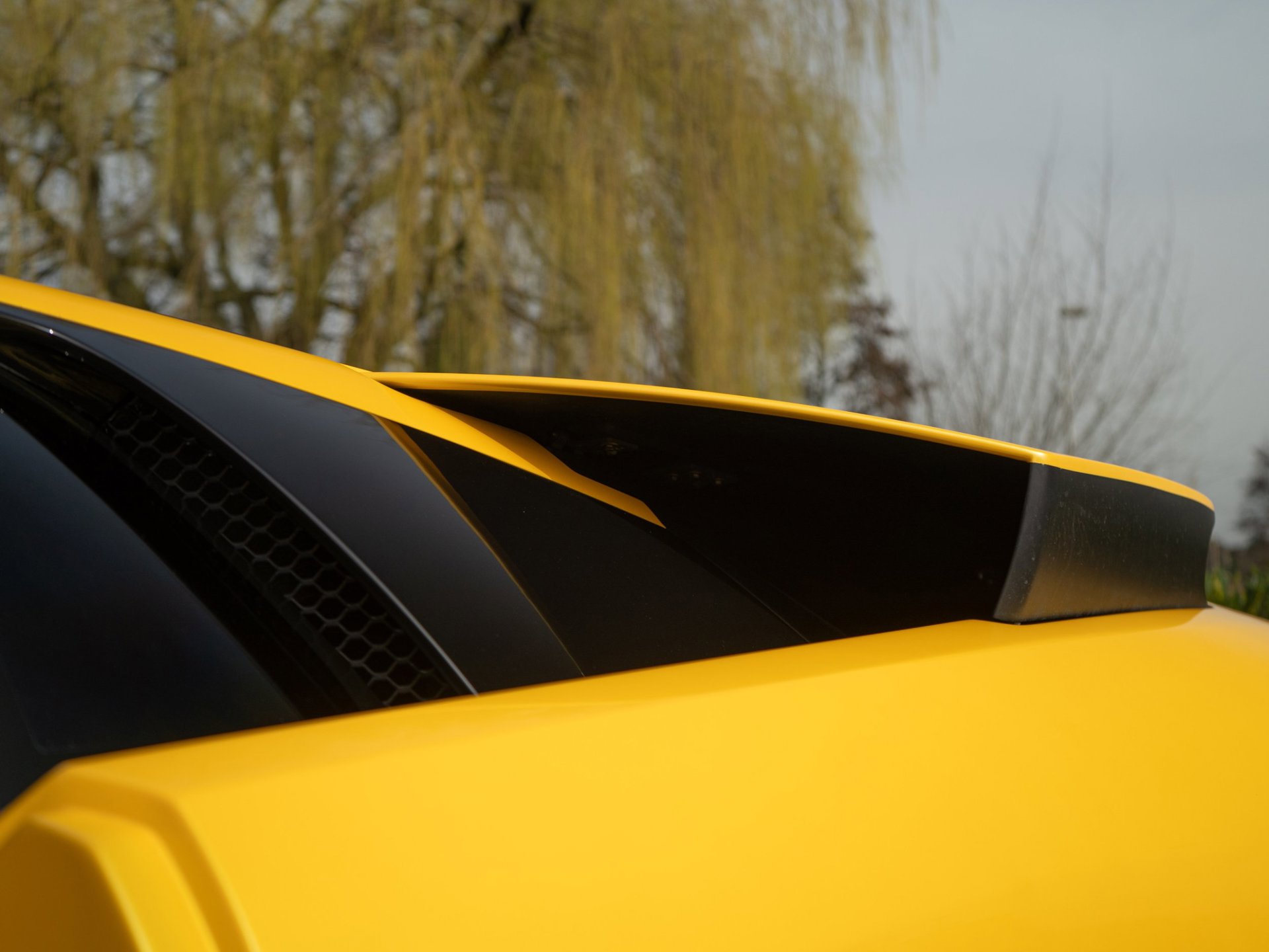 Foto van Lamborghini 147 Murcielago
