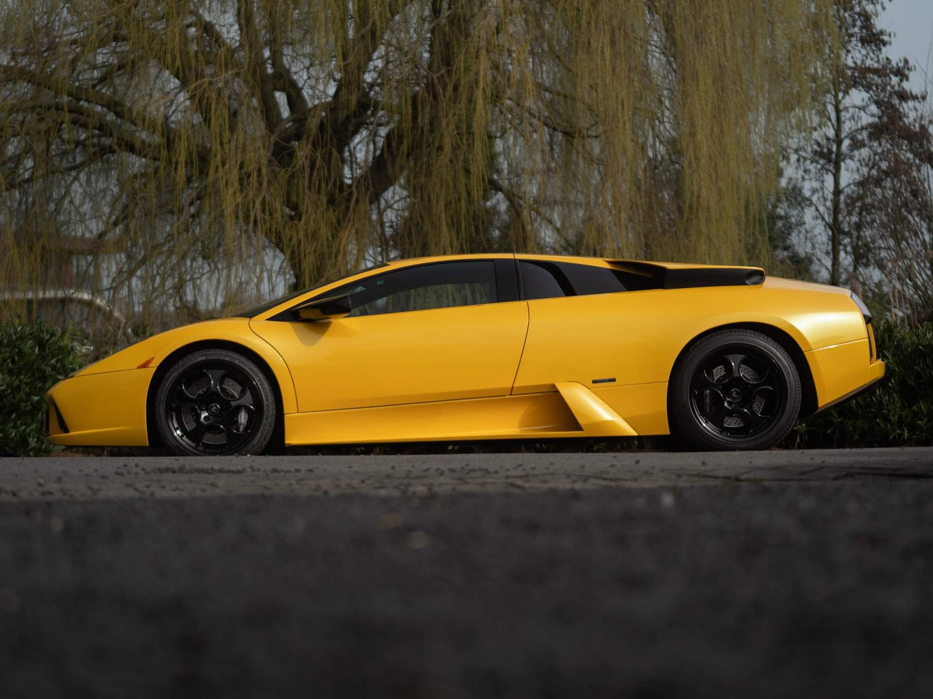 Foto van Lamborghini 147 Murcielago
