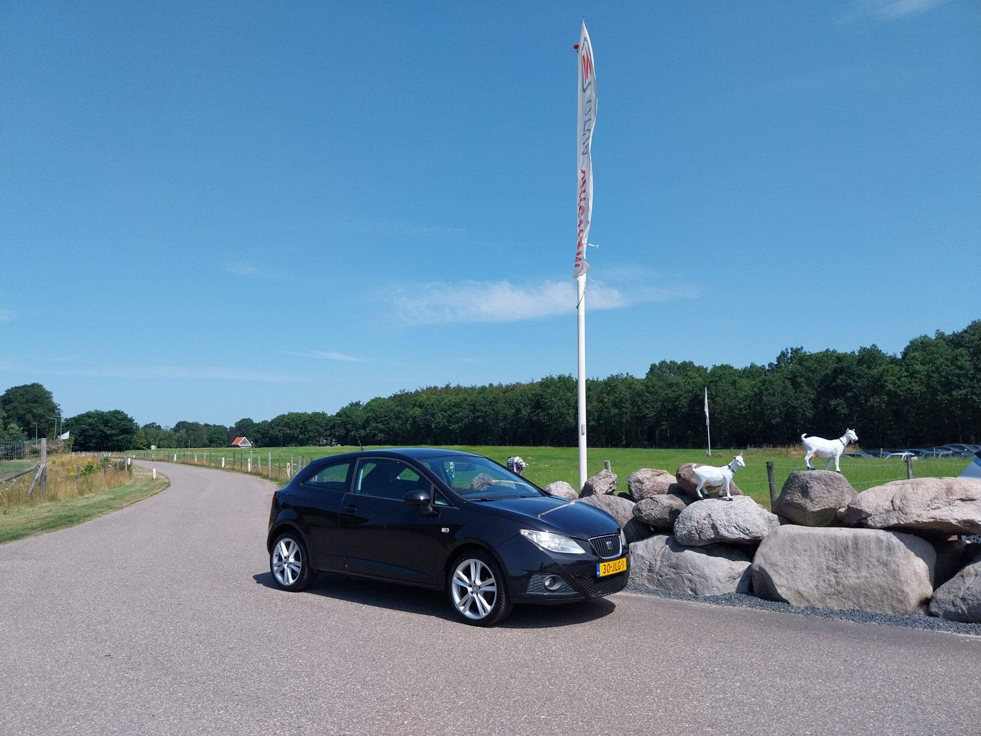 Foto van Seat Ibiza