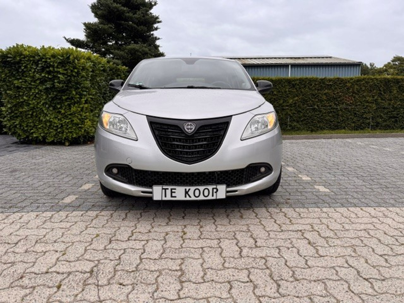 Foto van Lancia Ypsilon