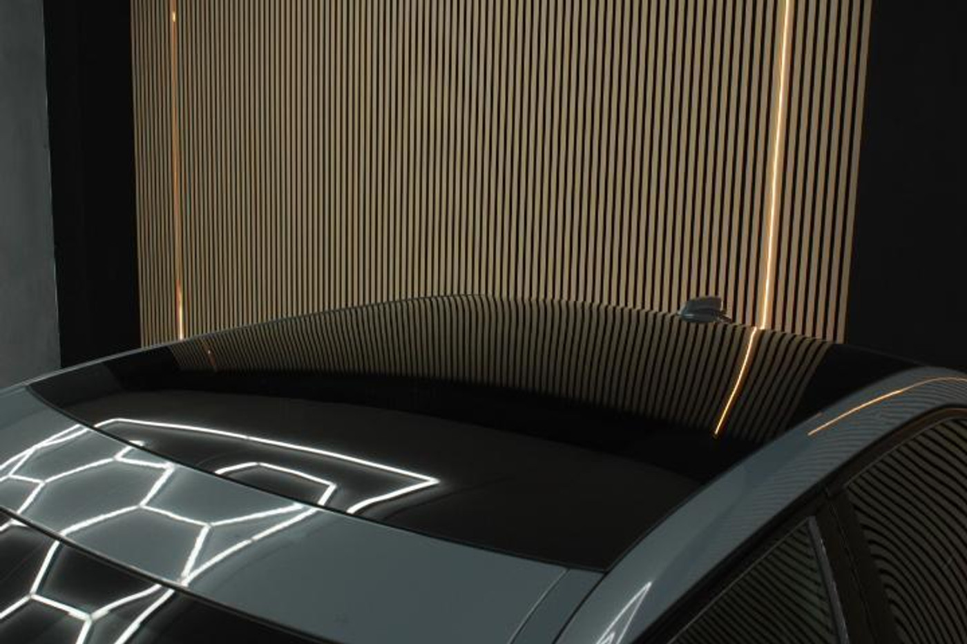 Foto van Polestar Polestar 2