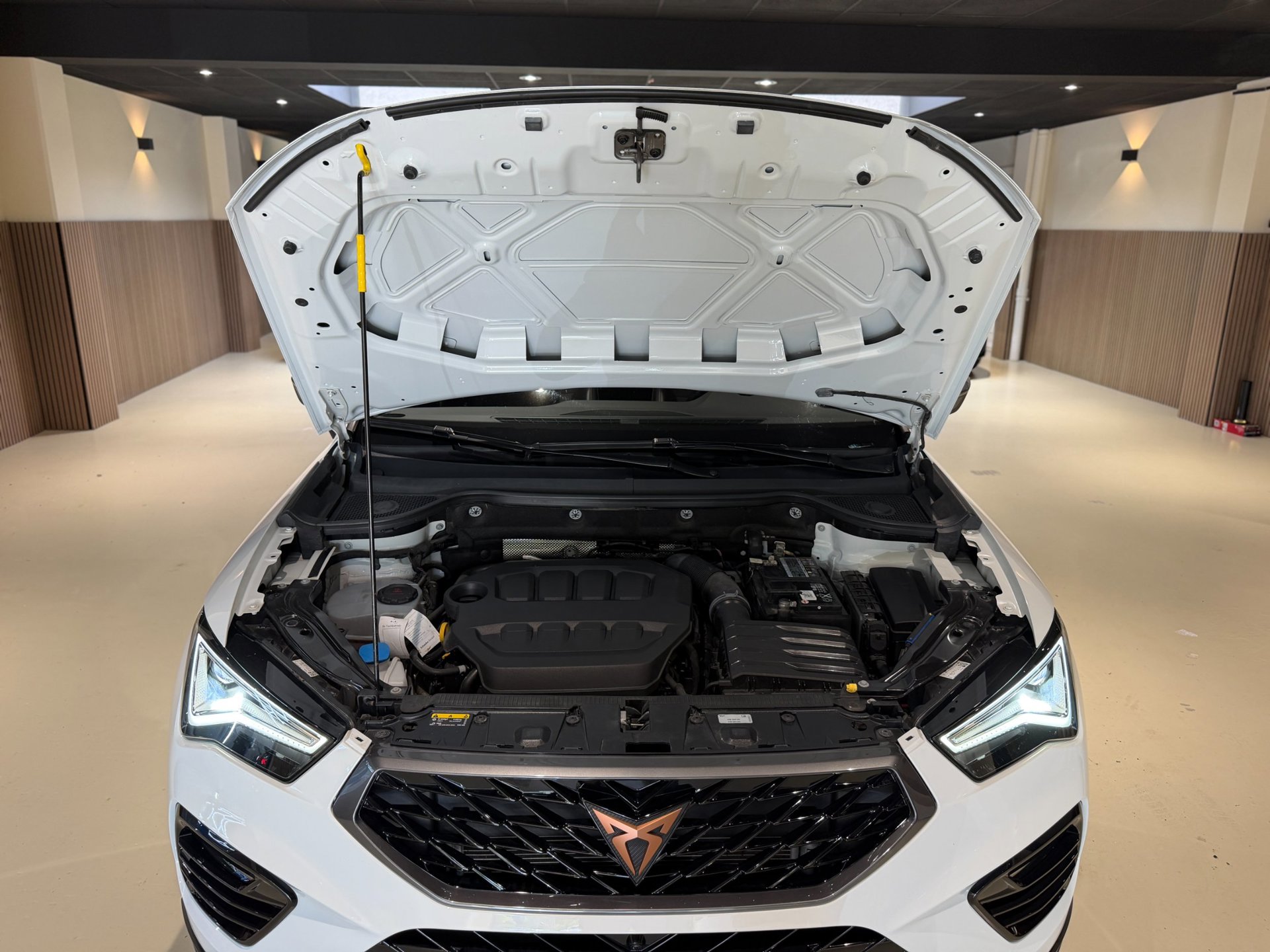 Foto van Cupra Ateca