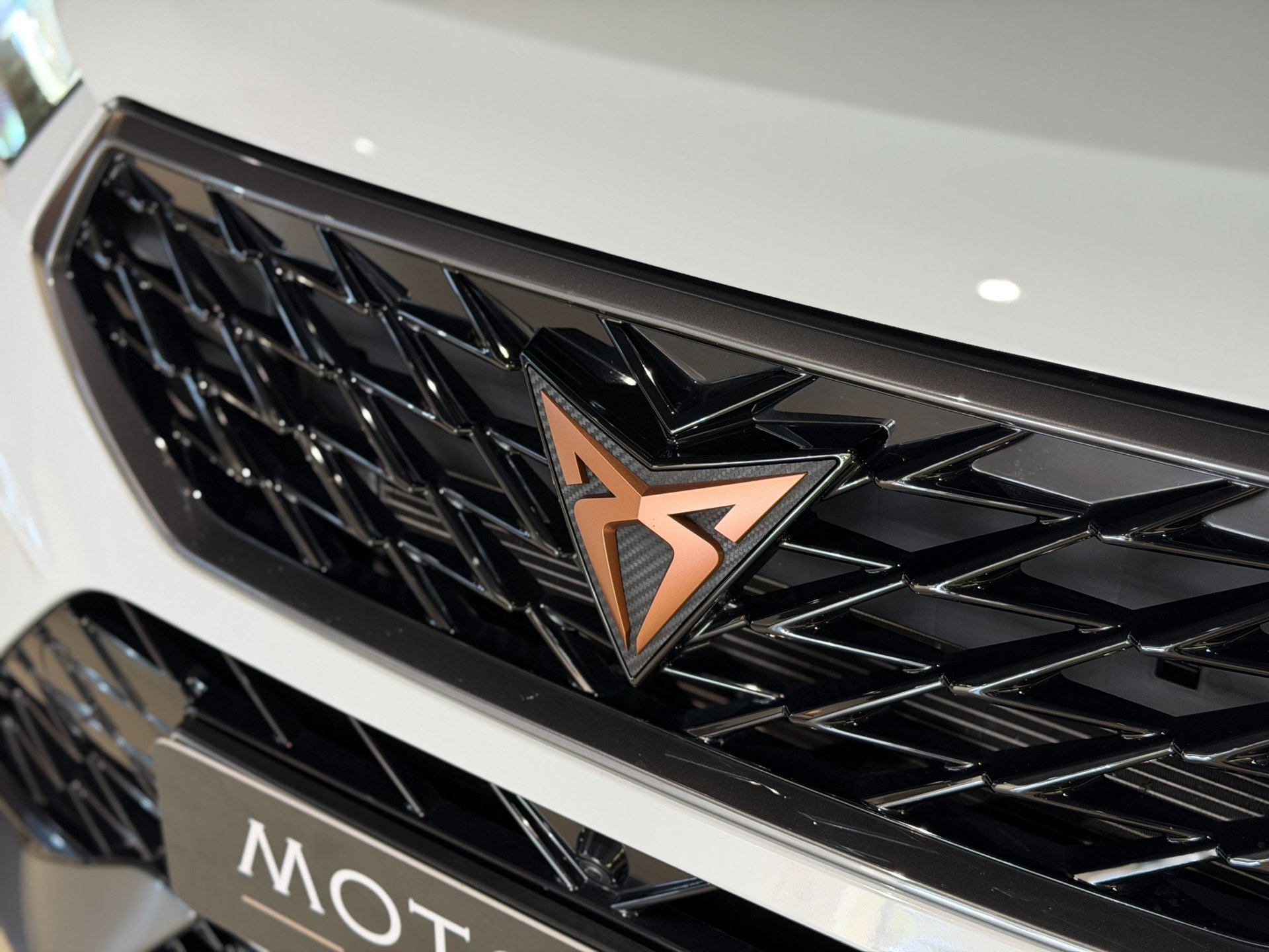 Foto van Cupra Ateca