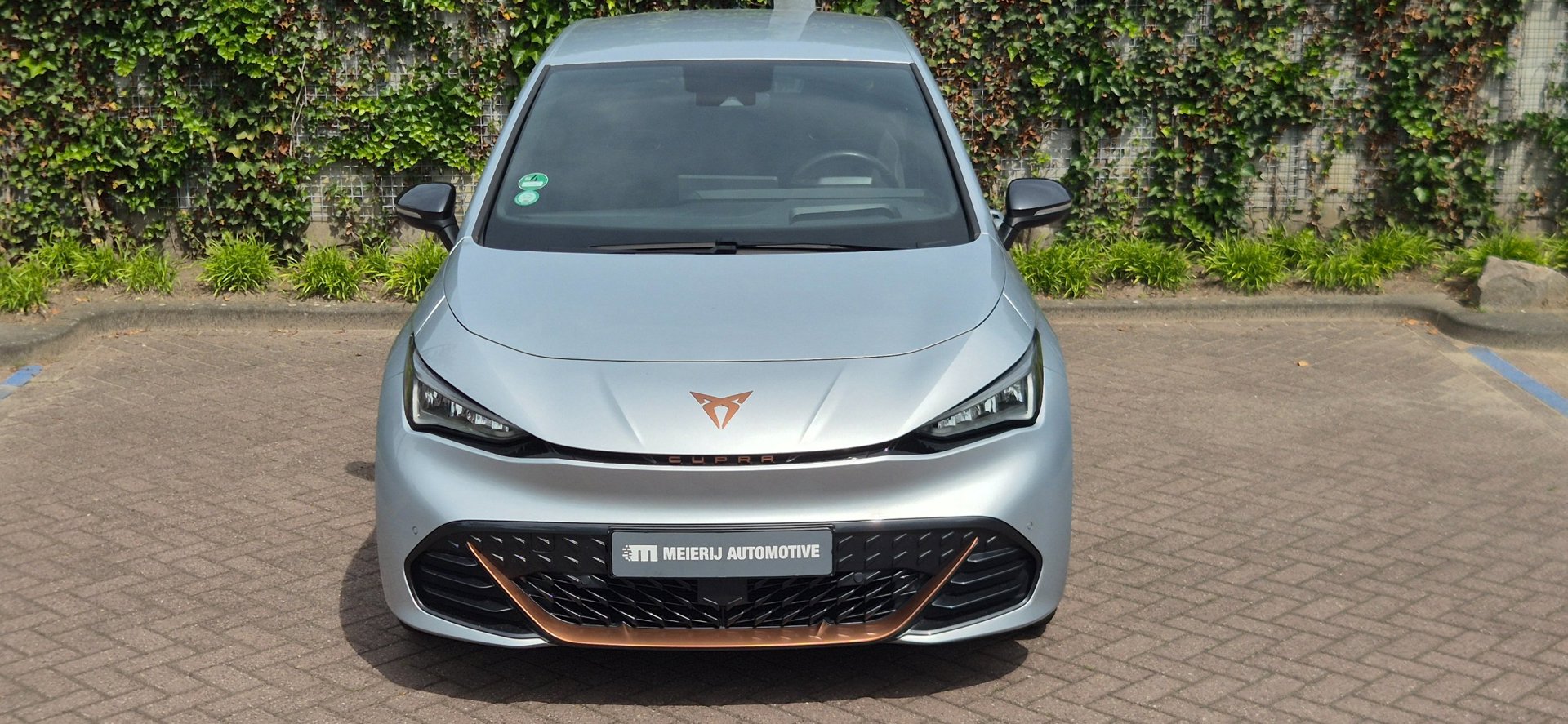 Foto van Cupra Born
