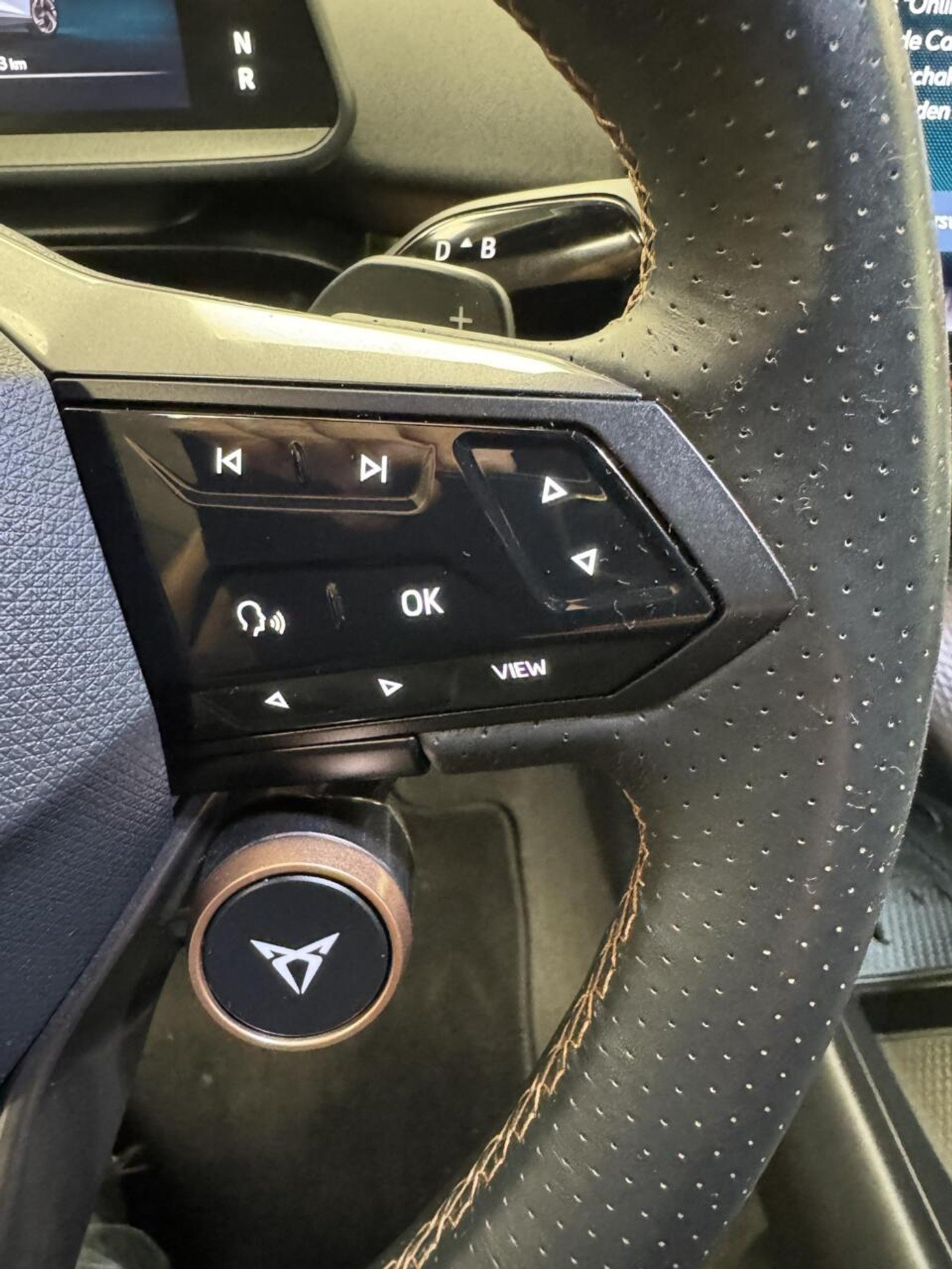 Foto van Cupra Tavascan