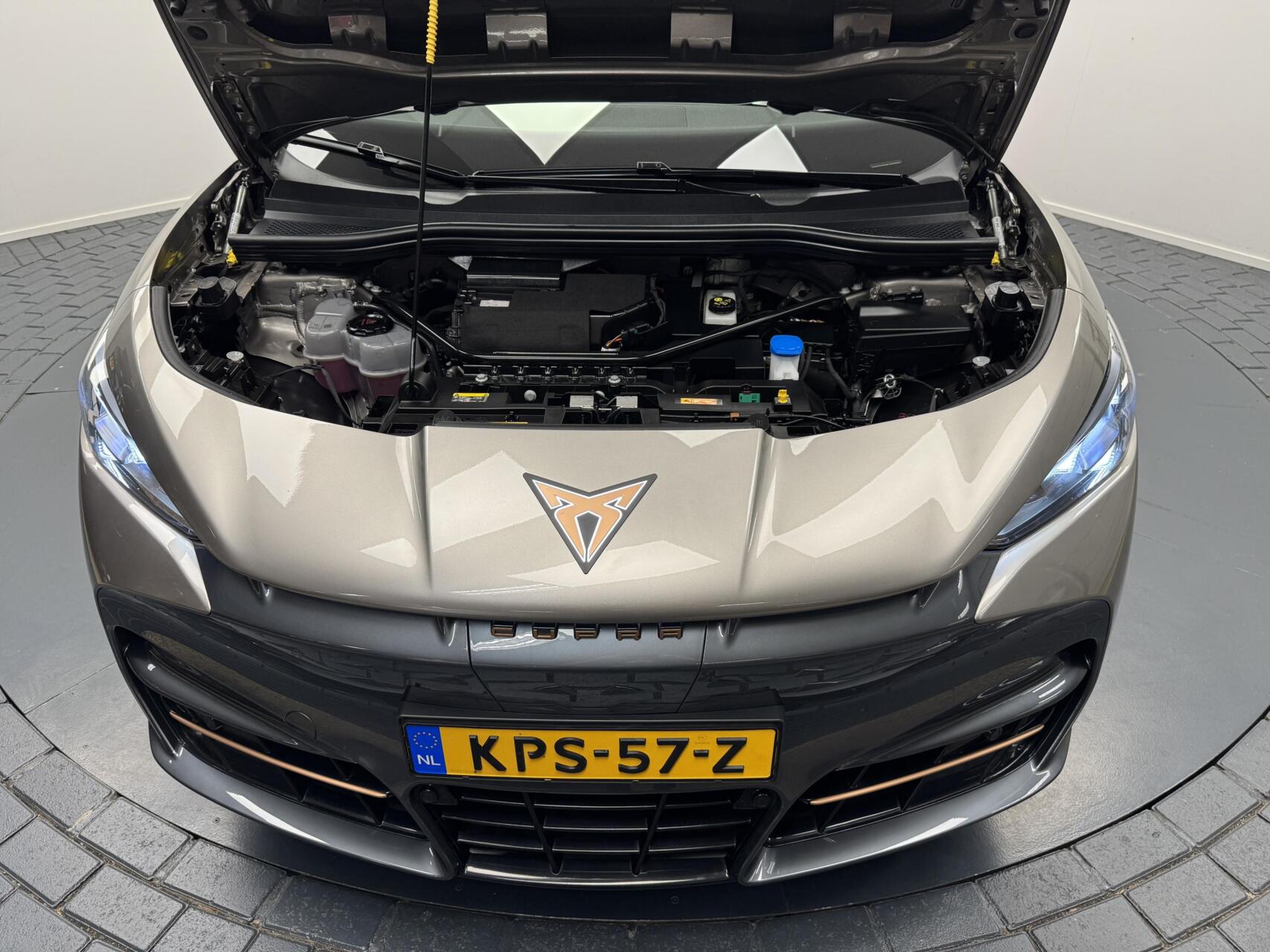 Foto van Cupra Tavascan