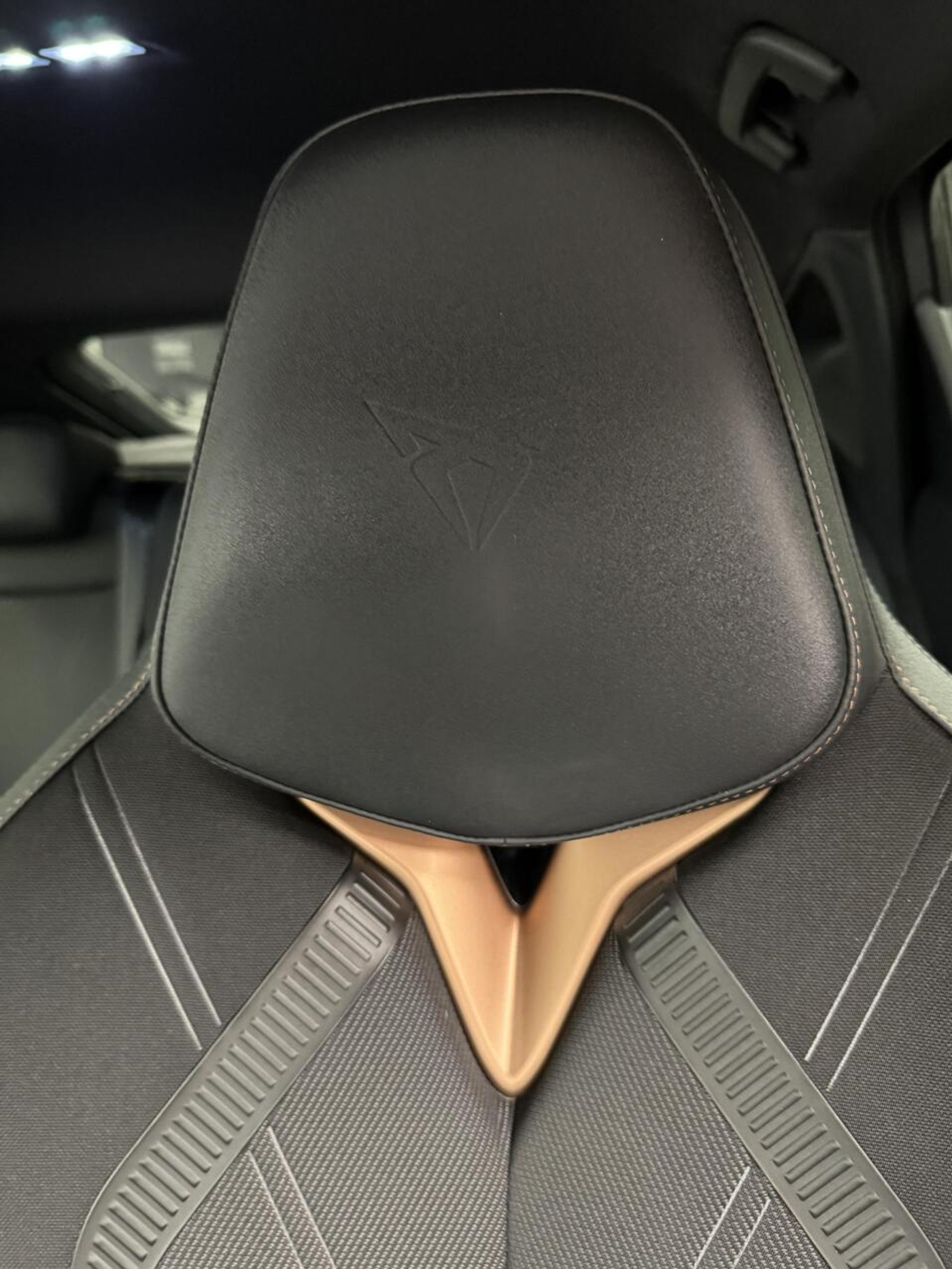Foto van Cupra Tavascan