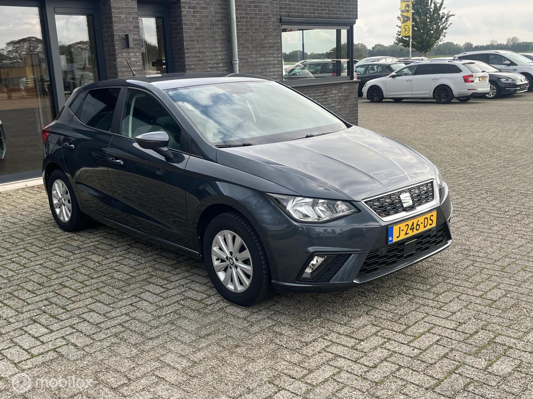 Foto van Seat Ibiza