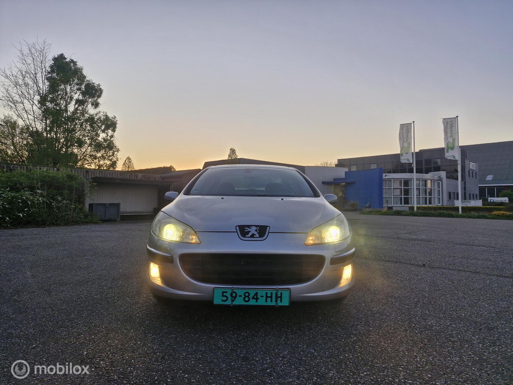 Foto van Peugeot 407