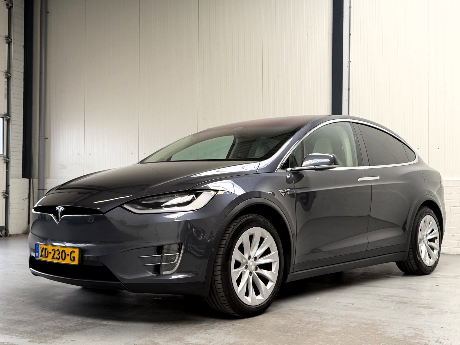 Foto van Tesla Model X
