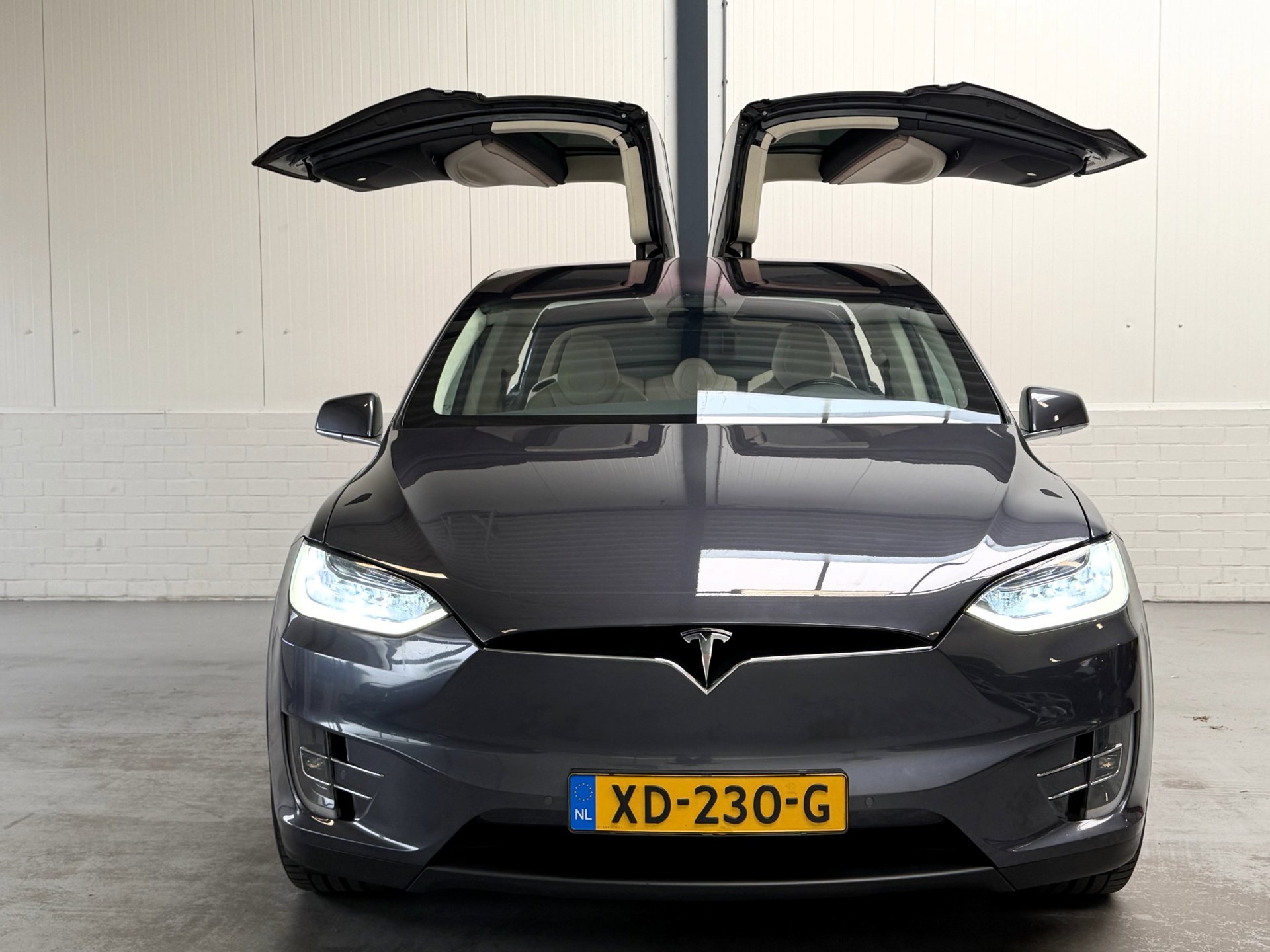 Foto van Tesla Model X