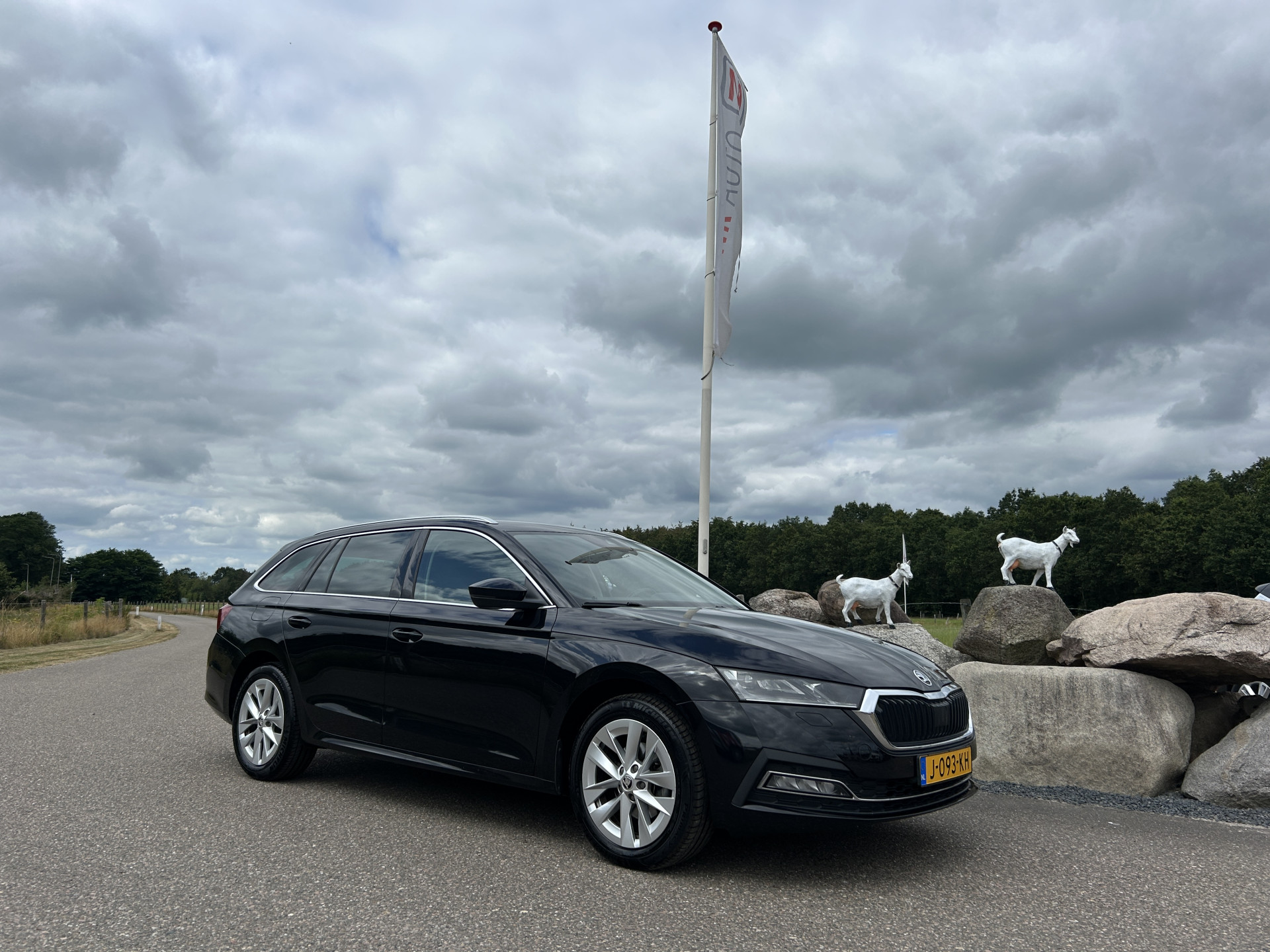 Foto van Skoda Octavia Combi
