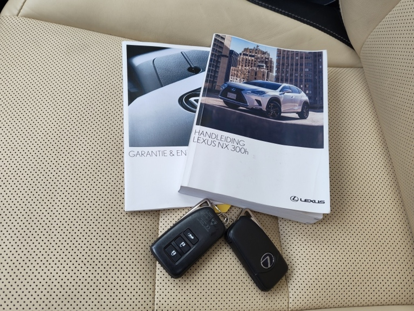 Foto van Lexus Lexus Nx300h