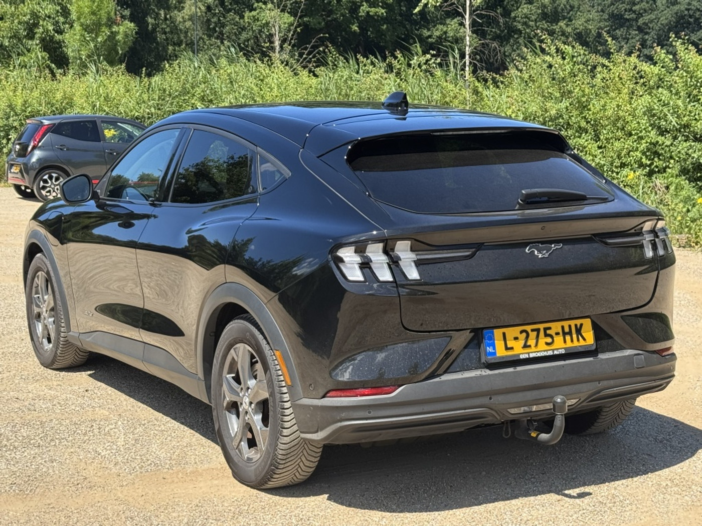 Foto van Ford Mustang Mach-e