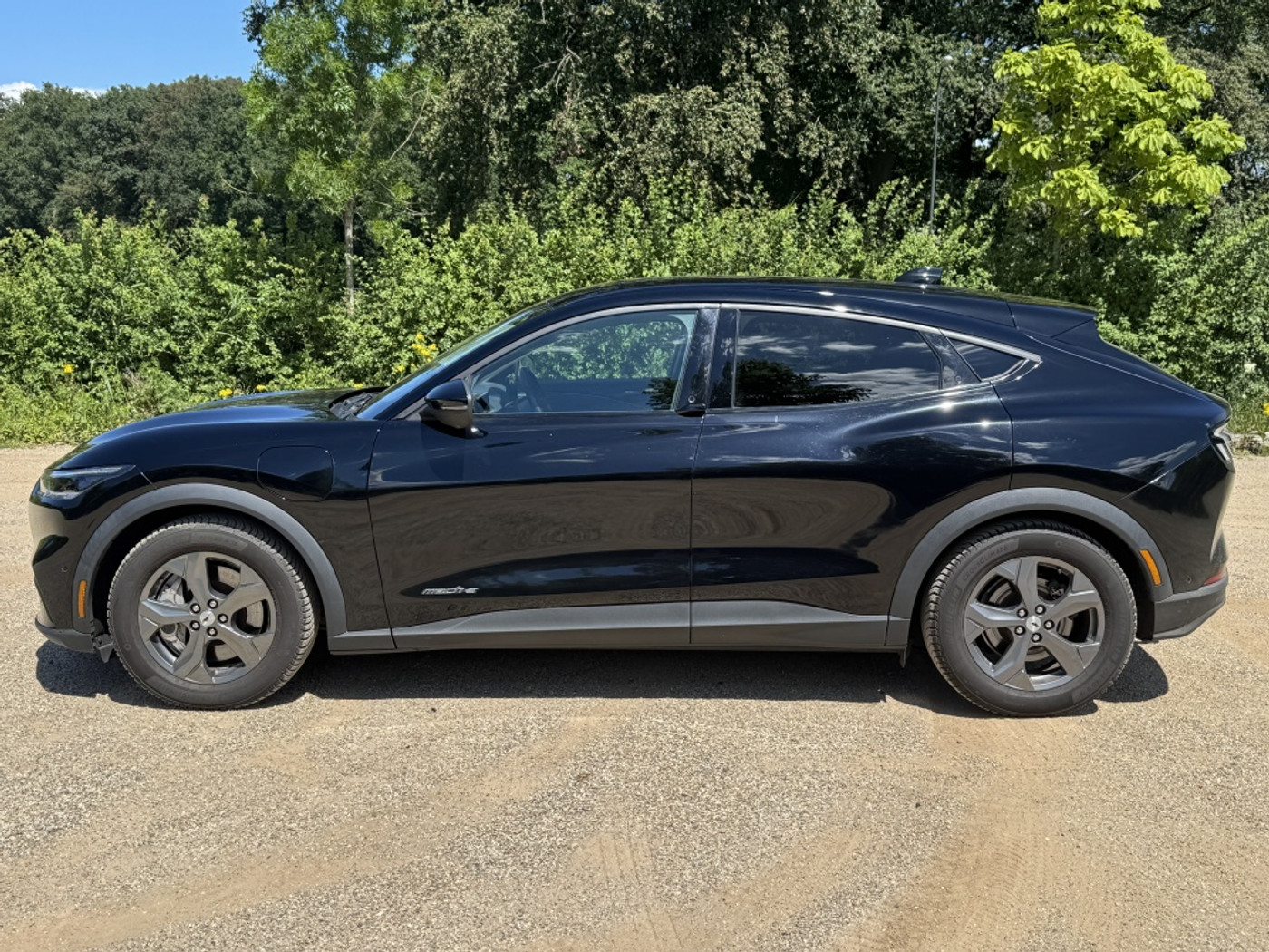 Foto van Ford Mustang Mach-e