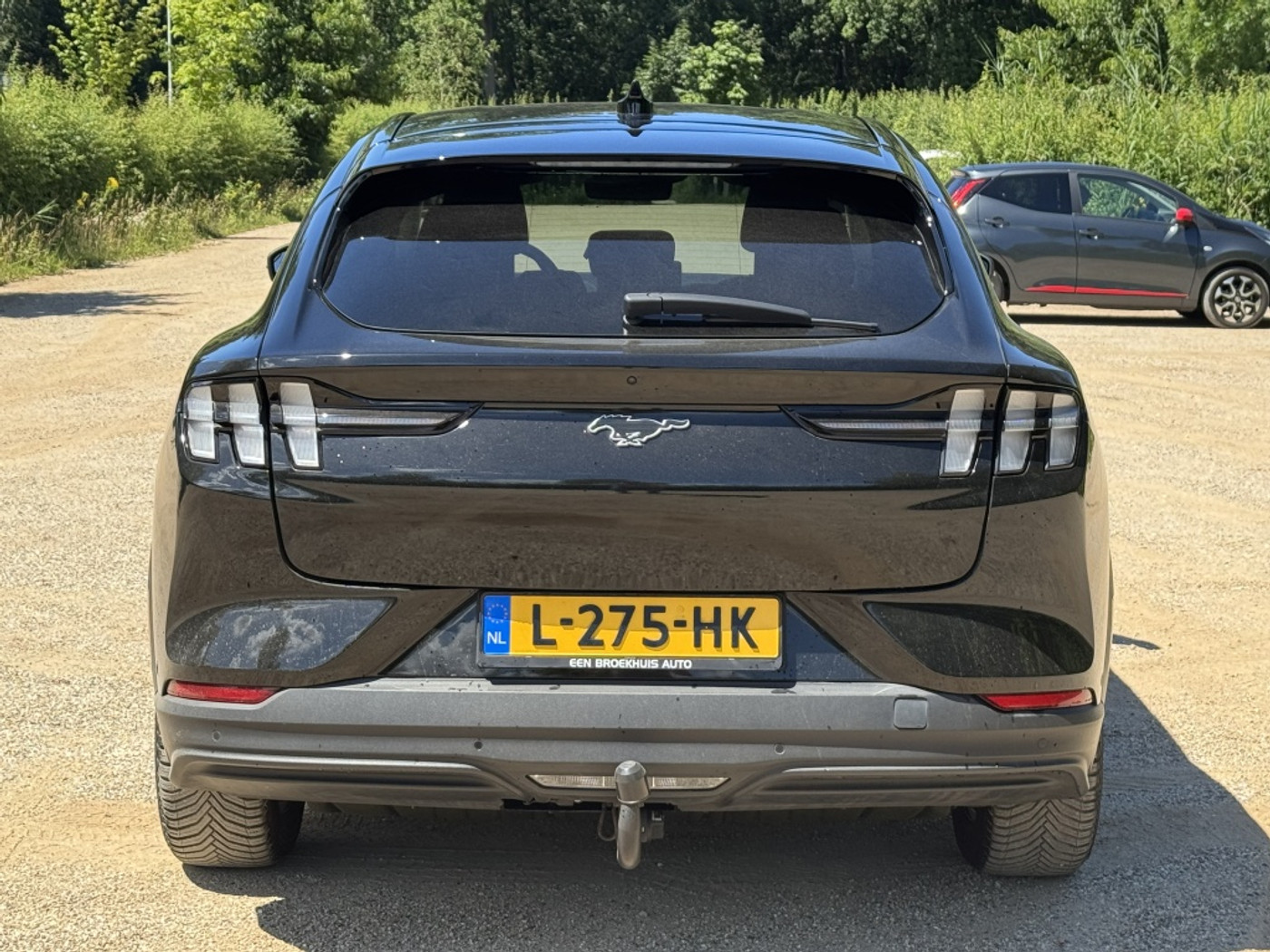 Foto van Ford Mustang Mach-e