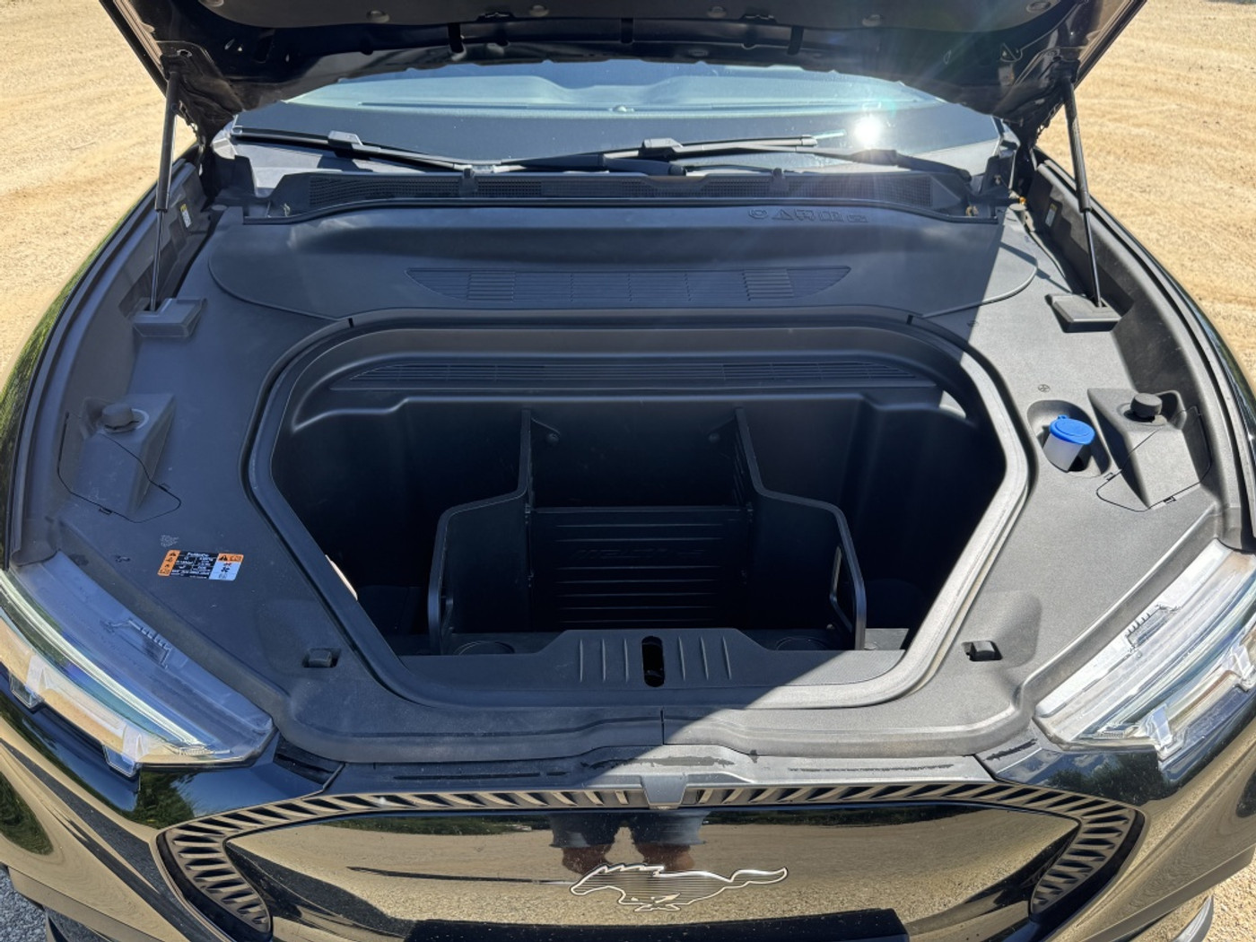 Foto van Ford Mustang Mach-e