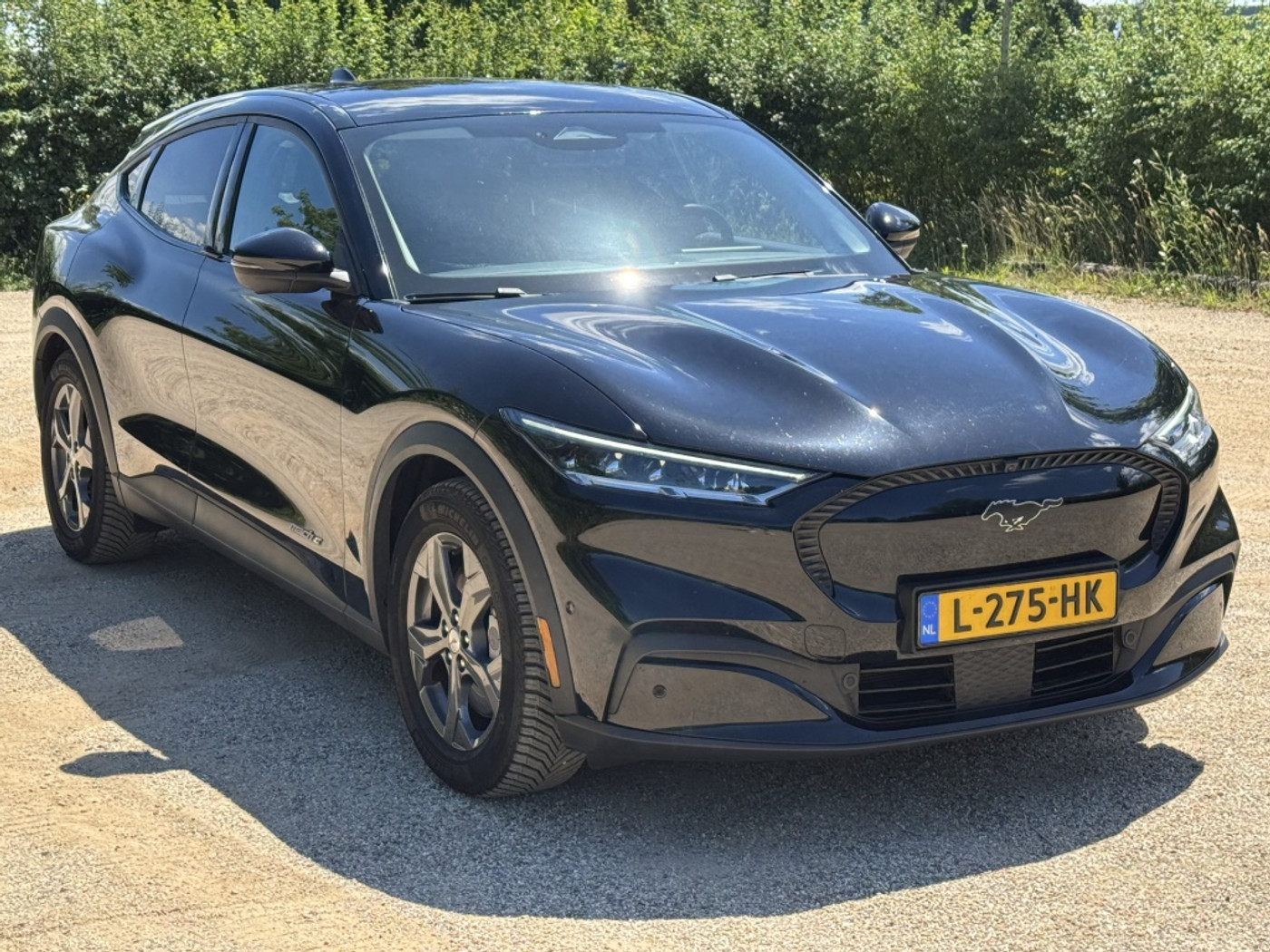 Foto van Ford Mustang Mach-e