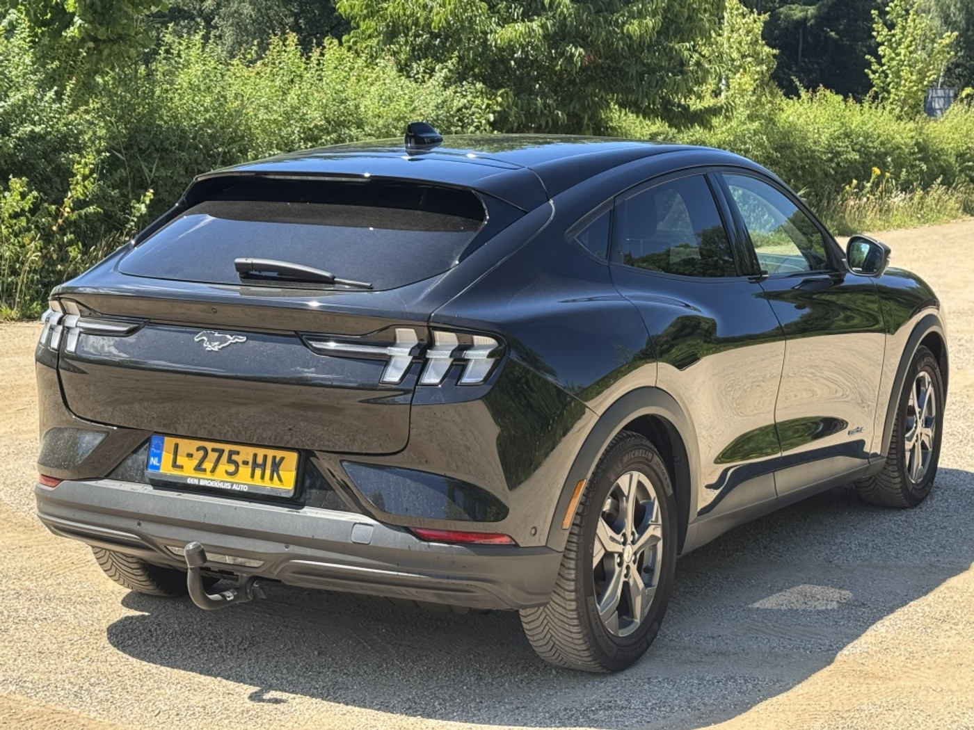 Foto van Ford Mustang Mach-e