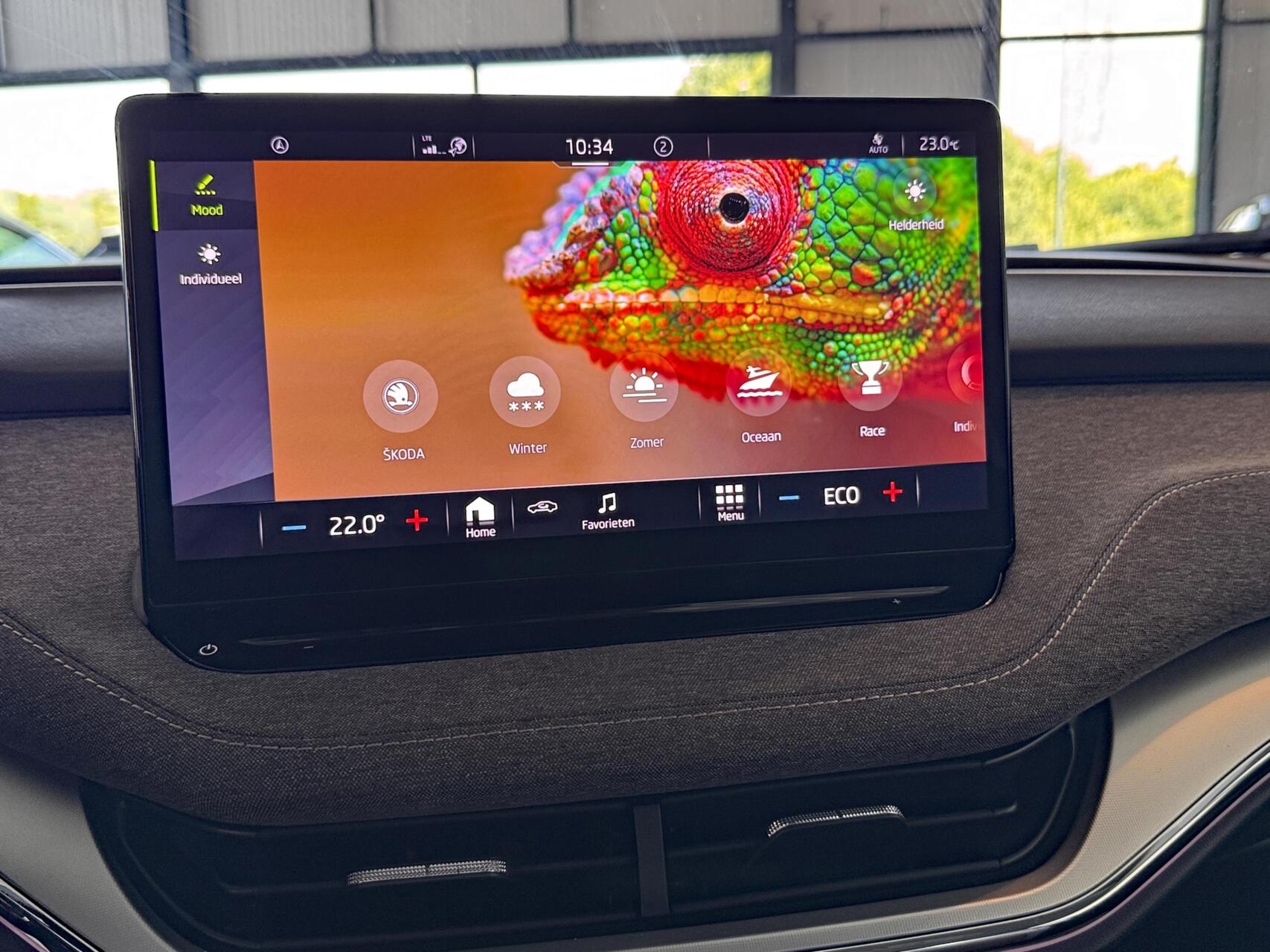 Foto van Skoda Enyaq 80