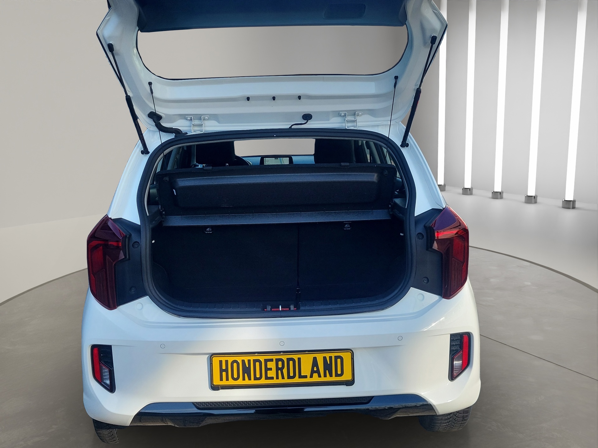 Foto van Kia Niro