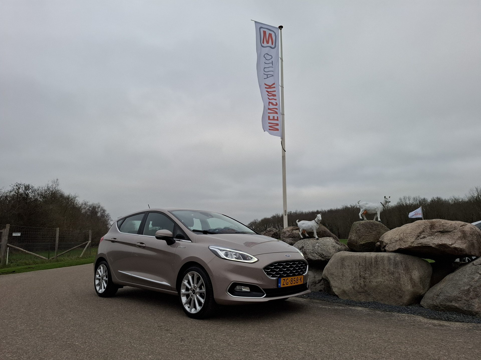 Foto van Ford Fiesta