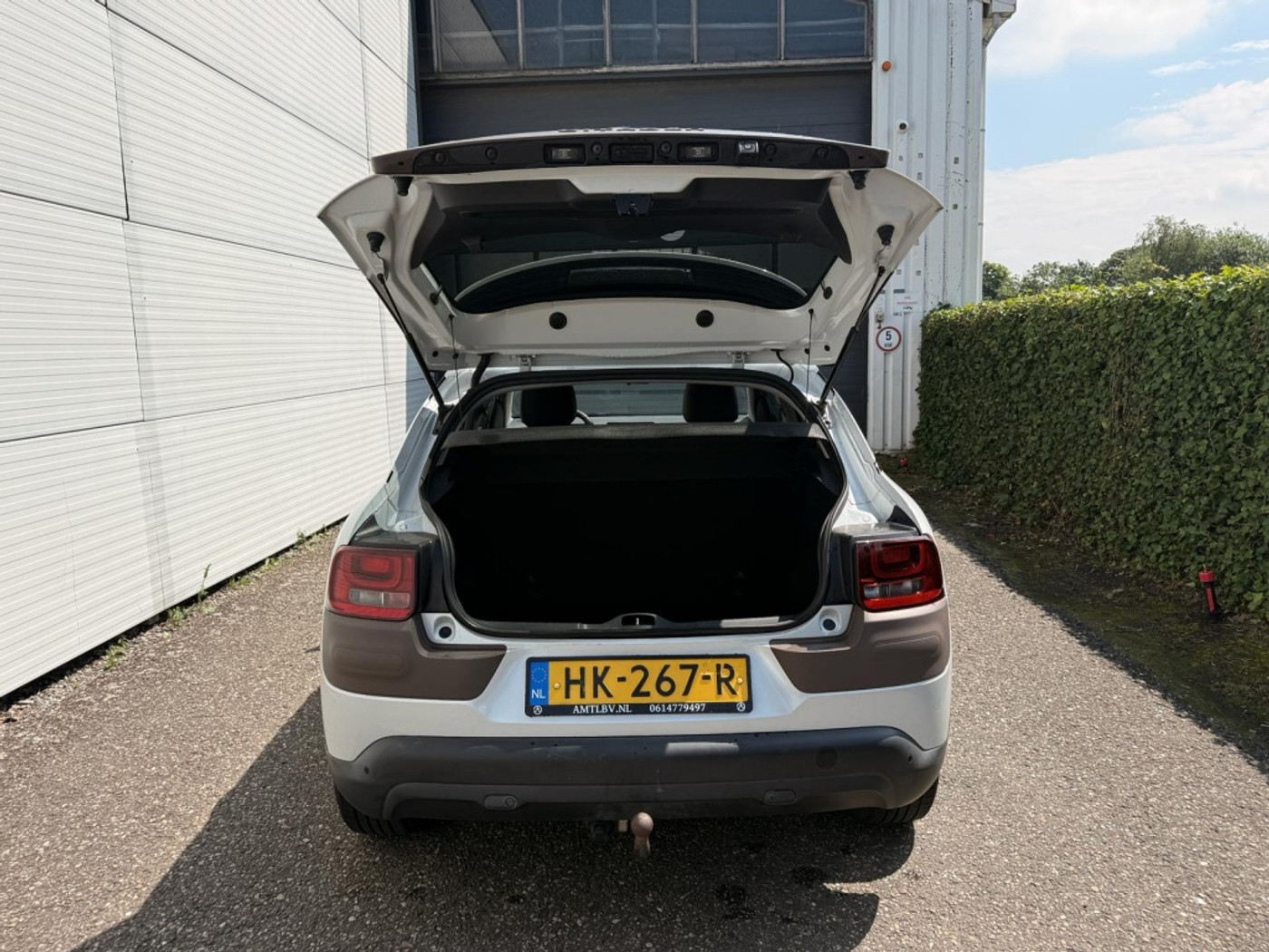 Foto van Citroen C4 Cactus