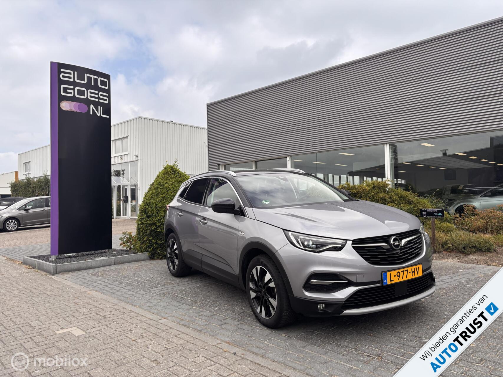 Opel Grandland X 1.2 Turbo Ultimate 360 Camera Xenon 2020 - voorkant