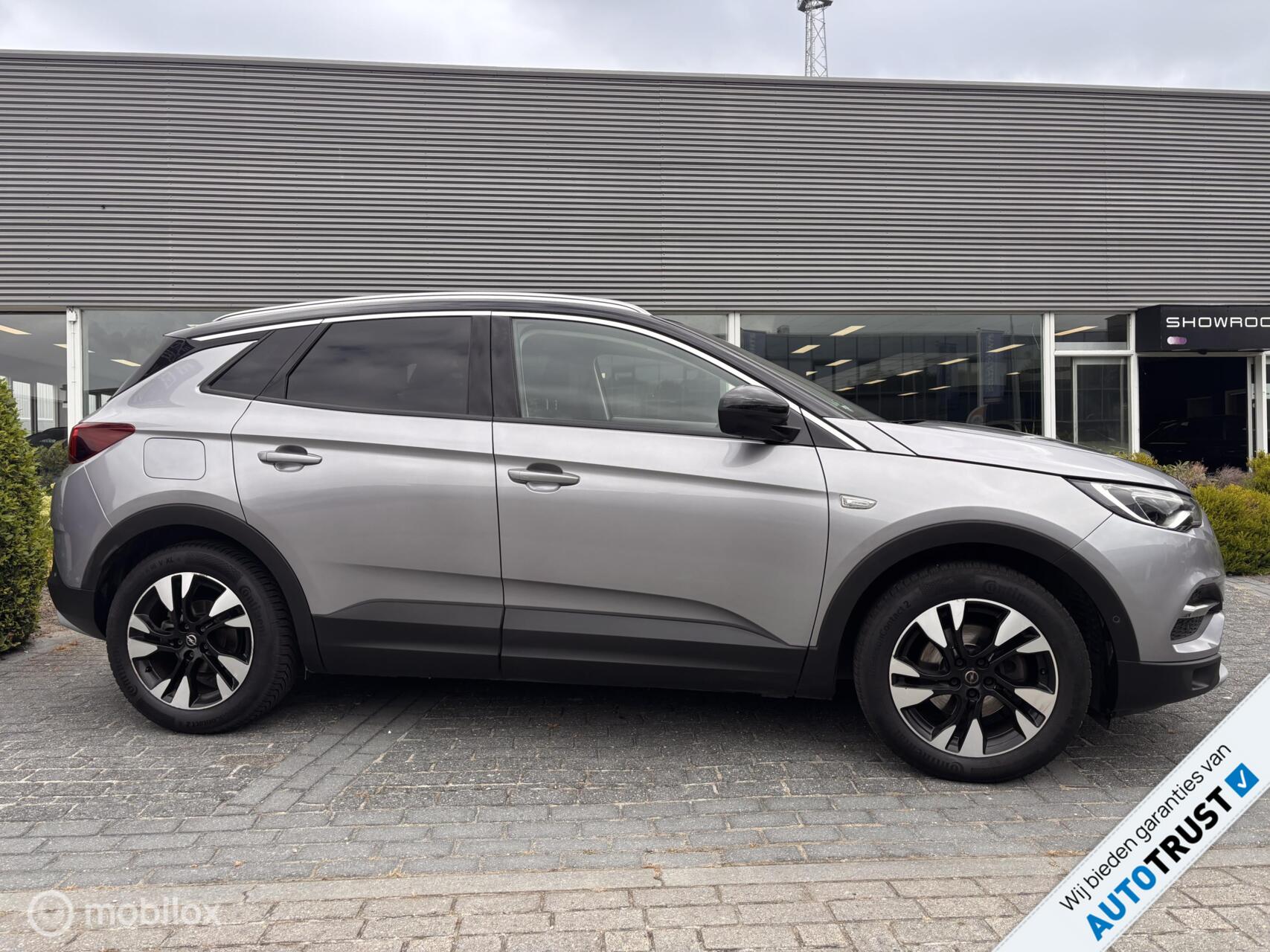 Foto van Opel Grandland X