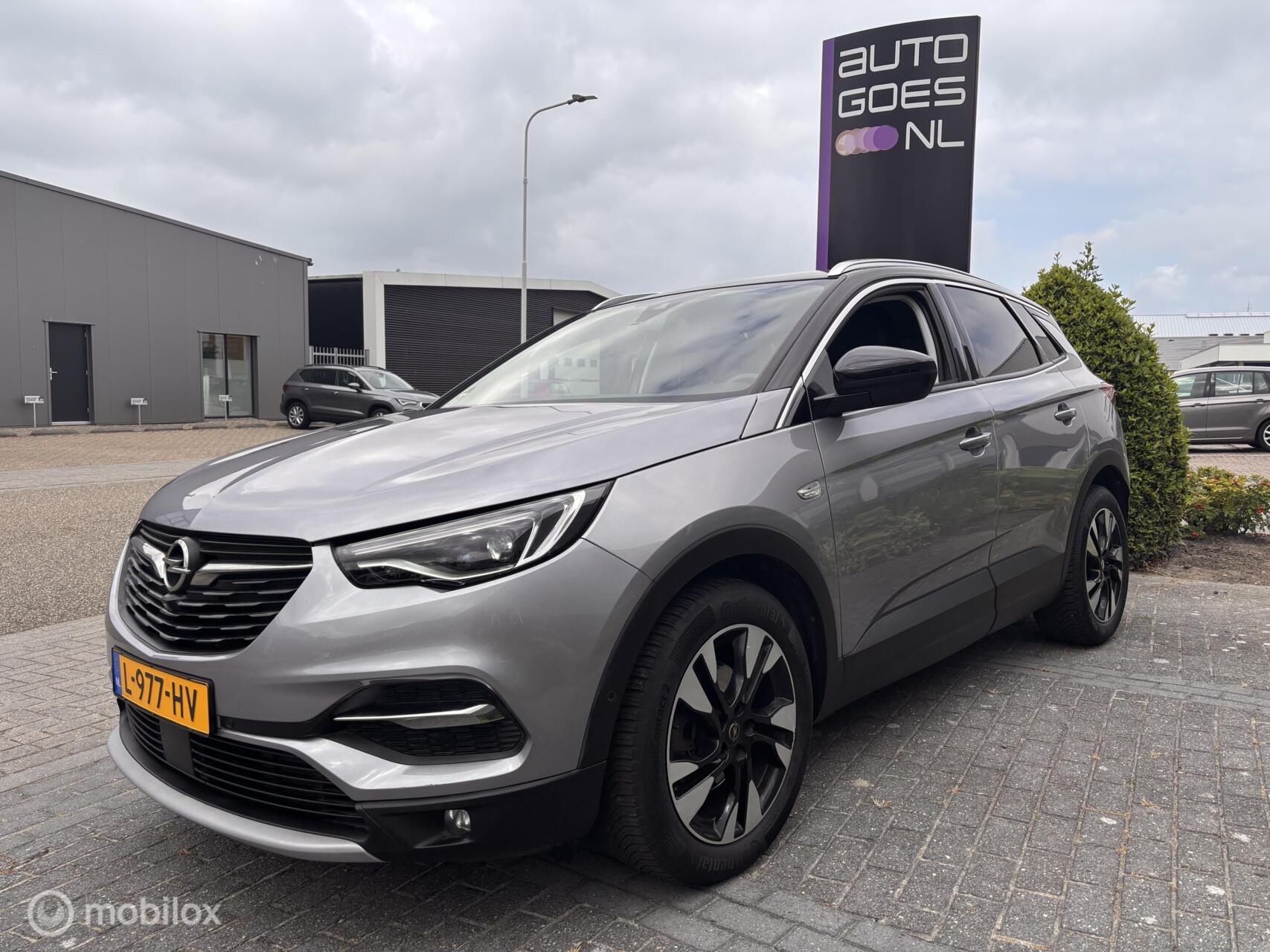Foto van Opel Grandland X