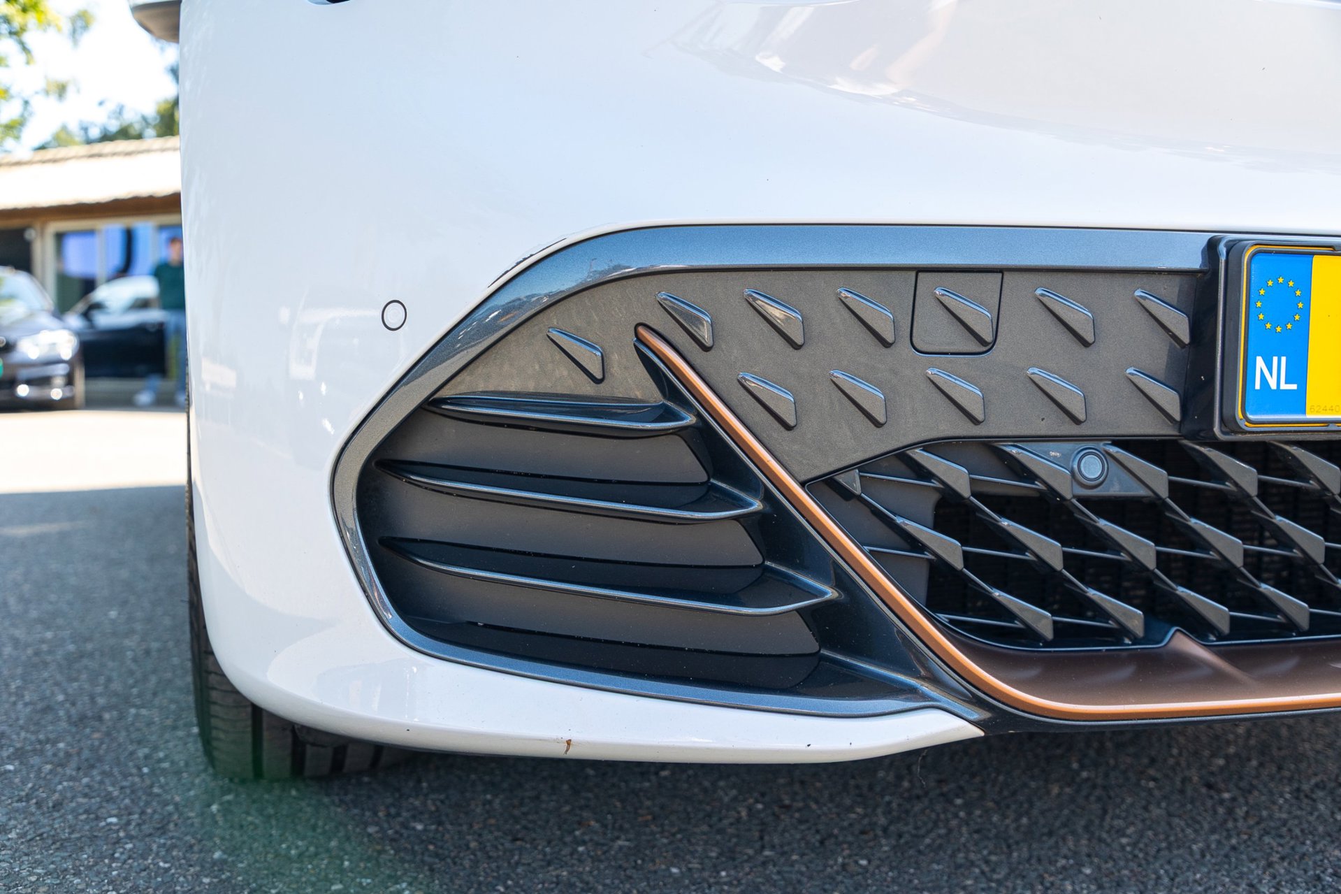 Foto van Cupra Born