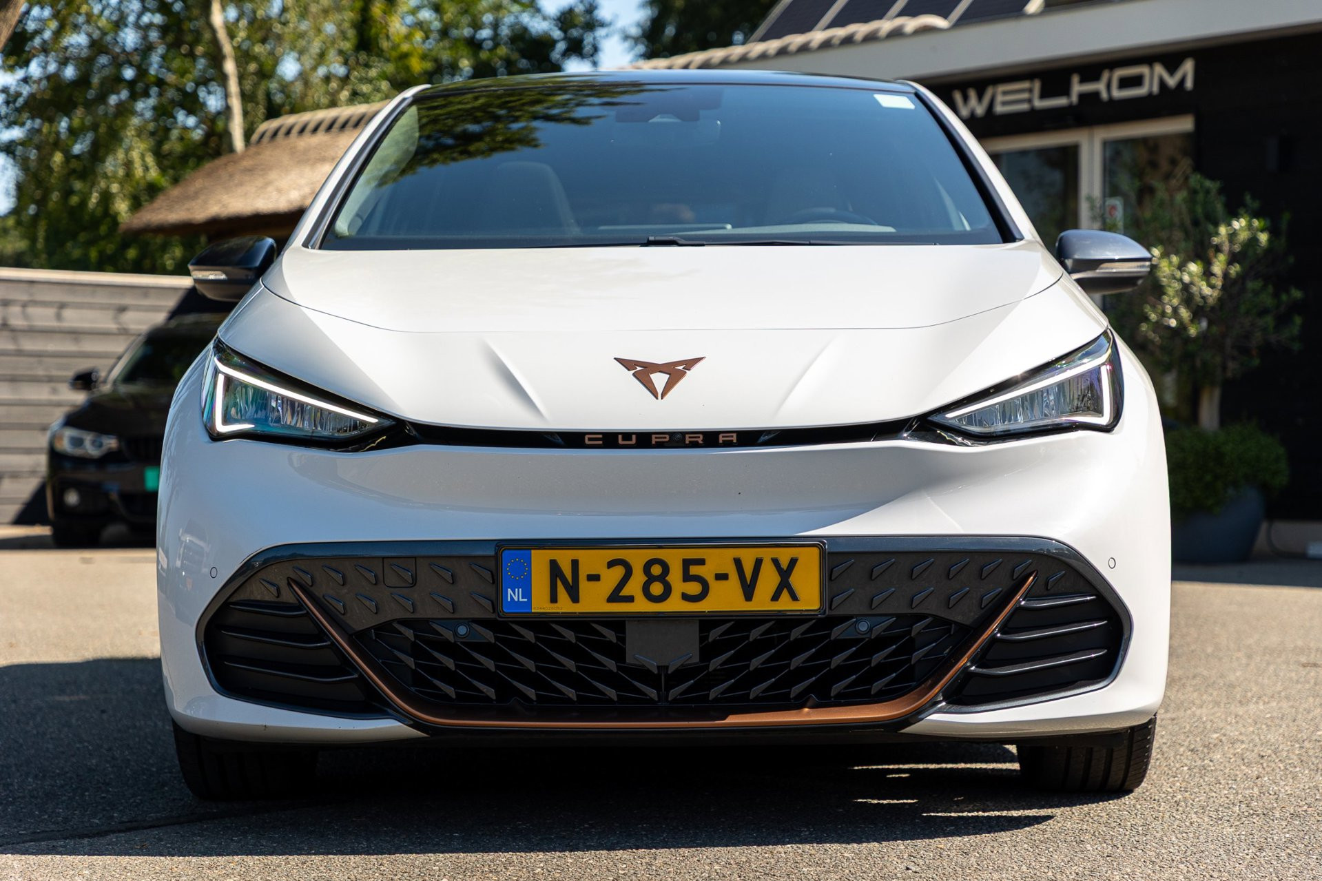 Foto van Cupra Born