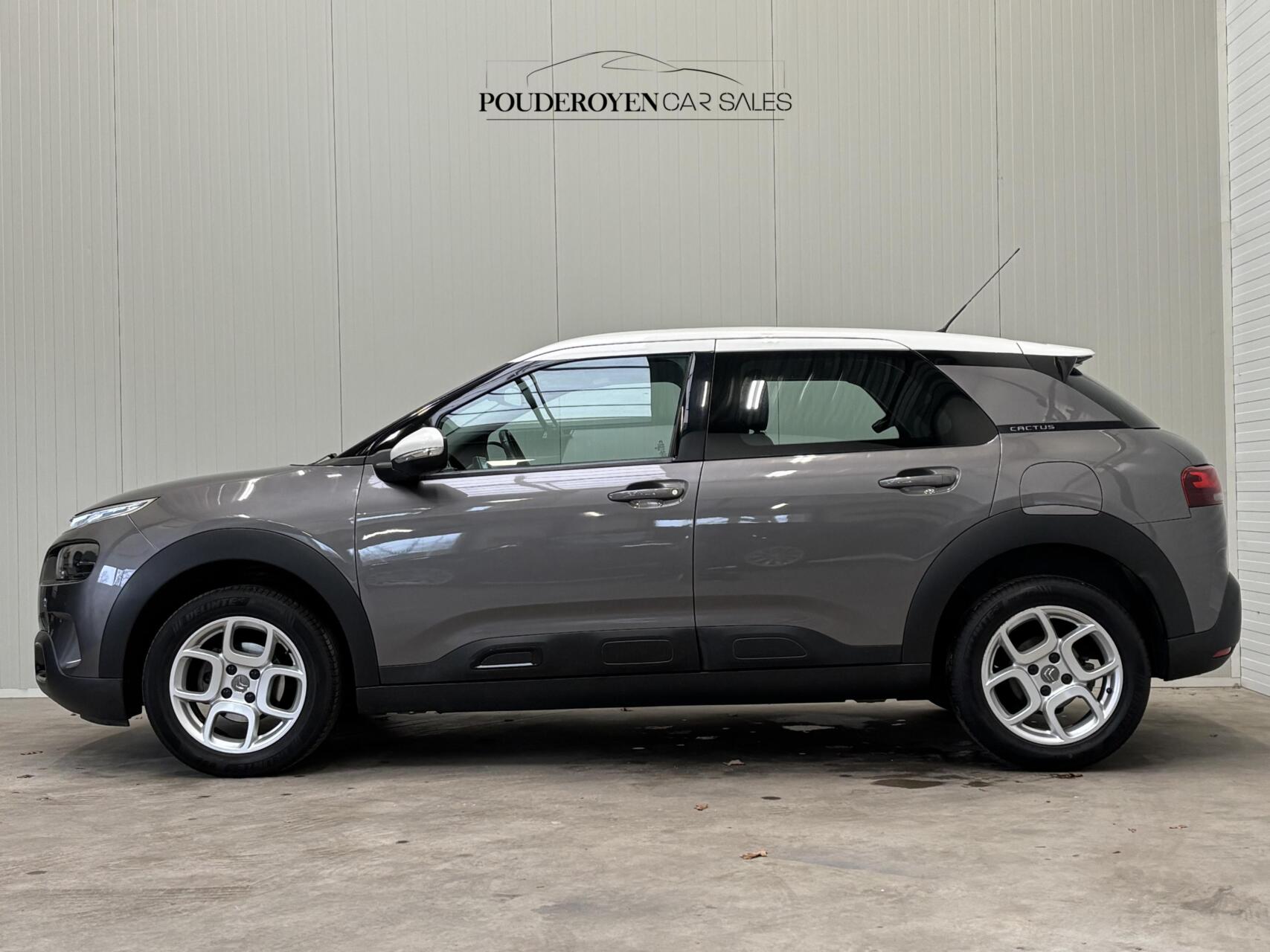 Foto van Citroen C4 Cactus