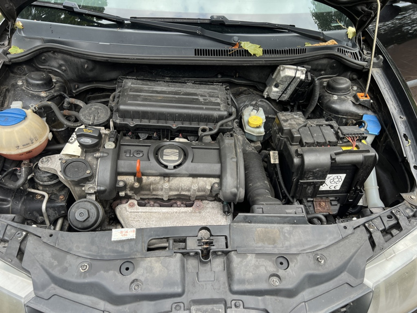 Foto van Seat Ibiza