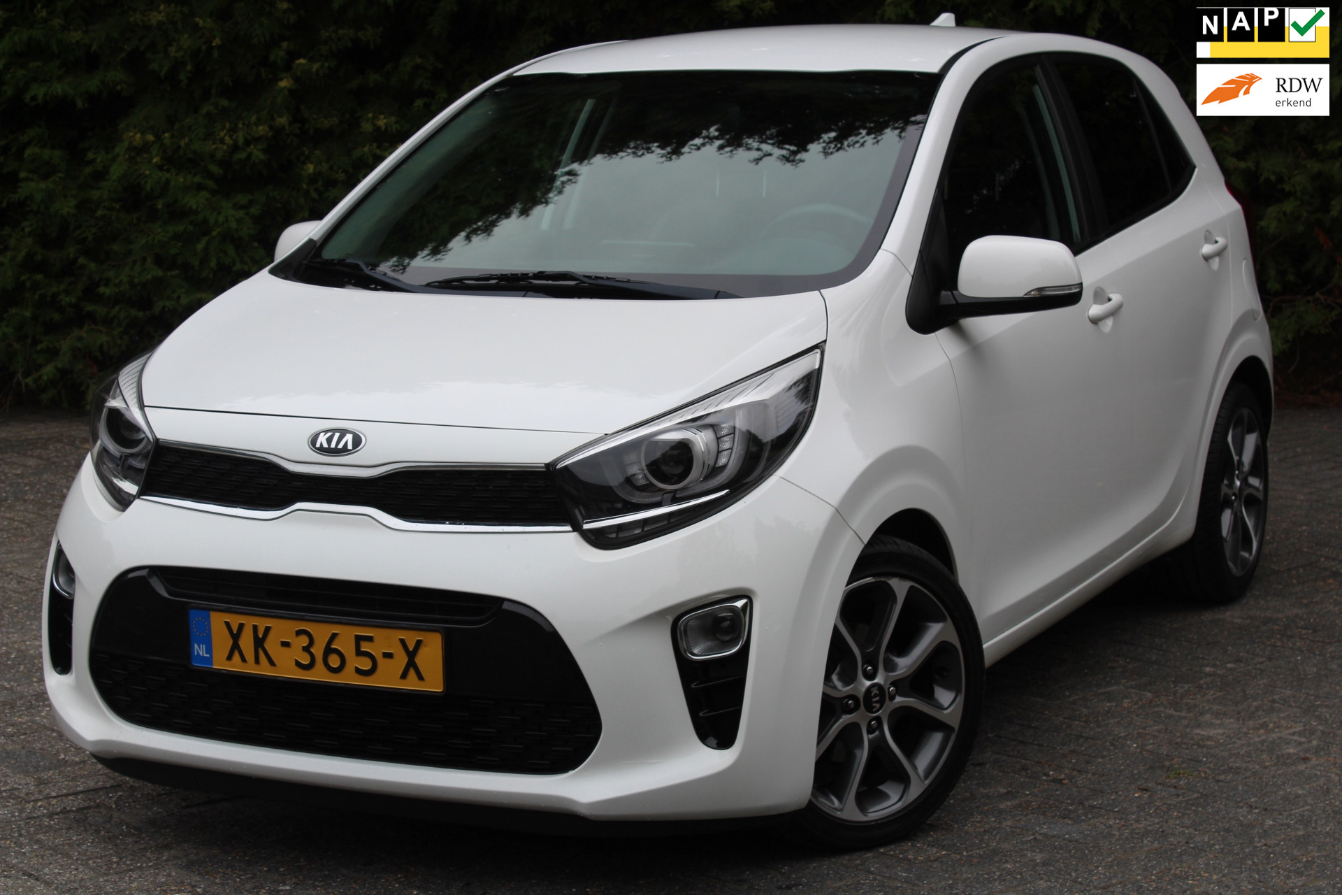 Kia Picanto 1.0 MPi DynamicLine 67PK | Navigatie | Parkeercamera | Lederen bekleding 2019 - voorkant