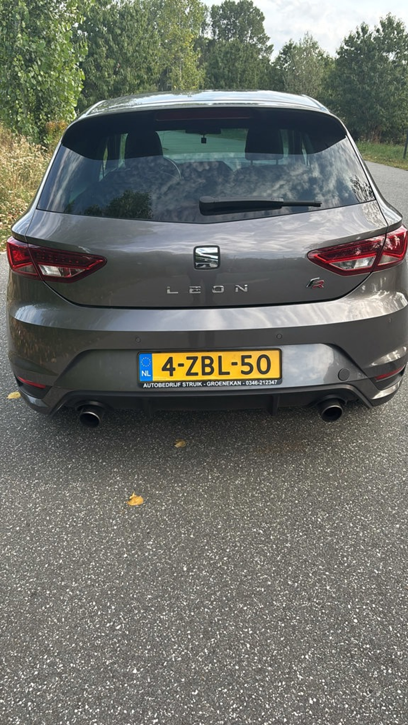 Foto van Seat Leon