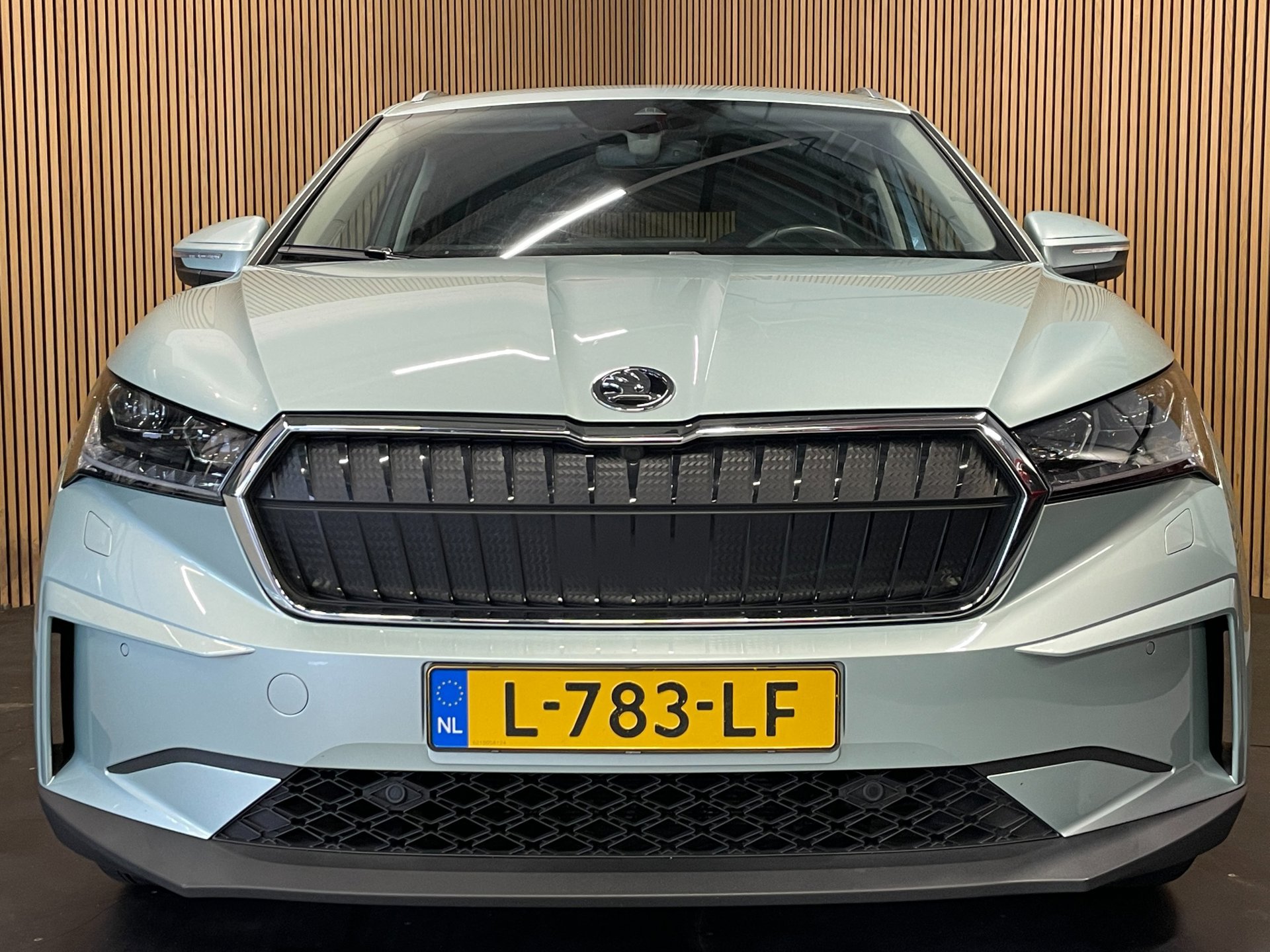 Foto van Skoda Enyaq 80