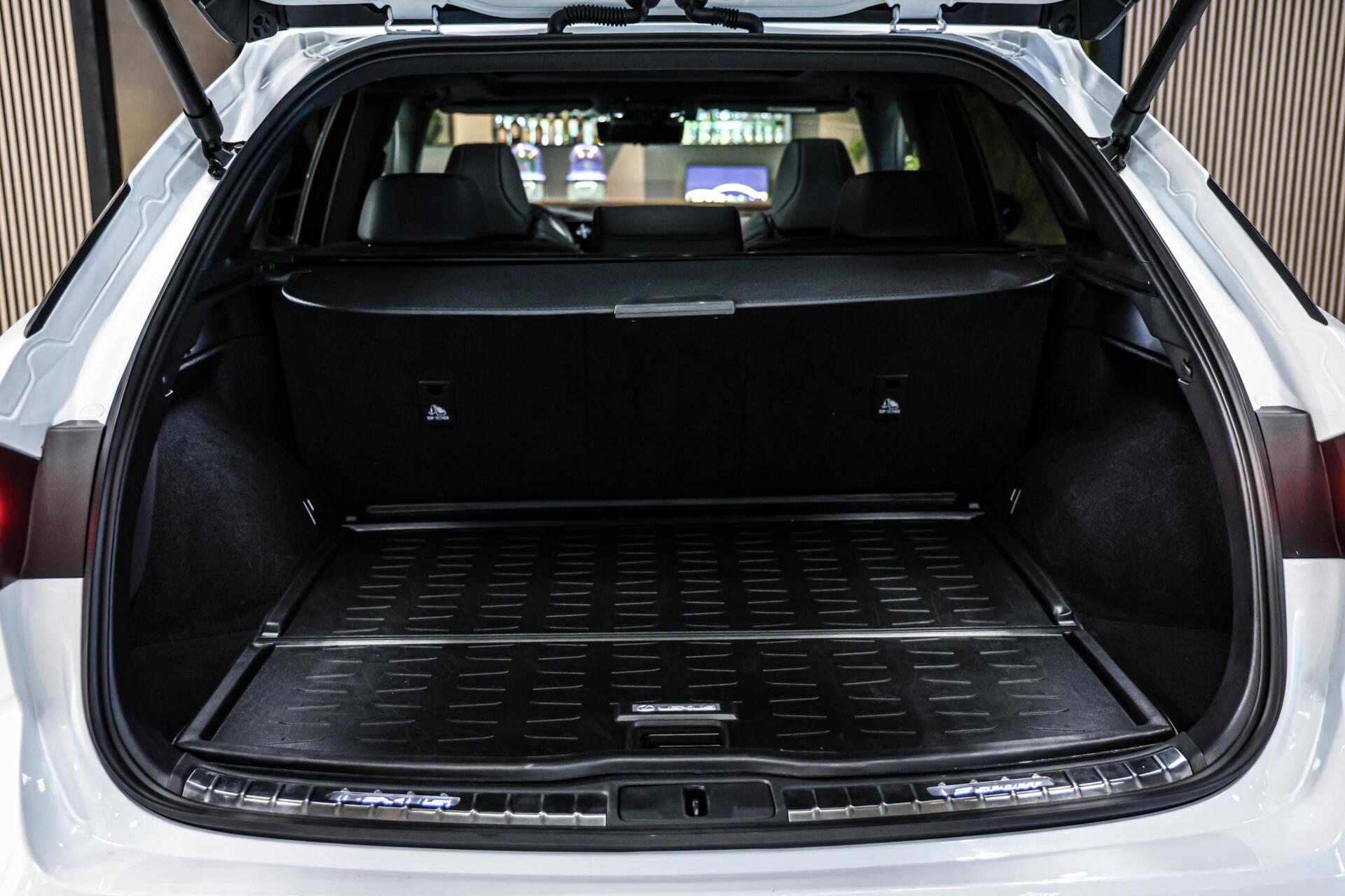 Foto van Lexus Lexus Rx500h
