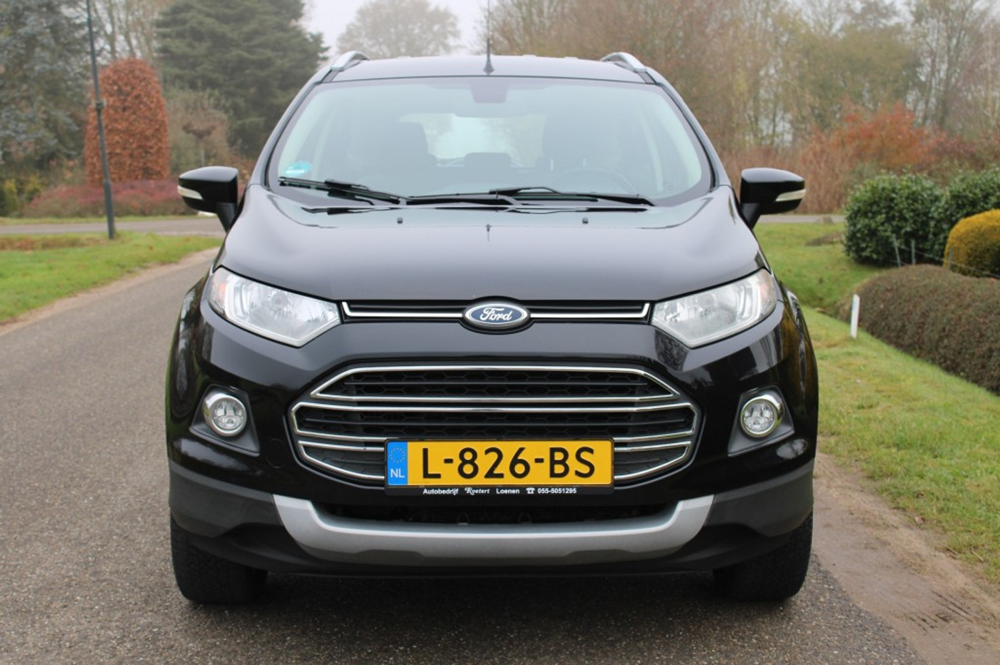 Foto van Ford Ecosport