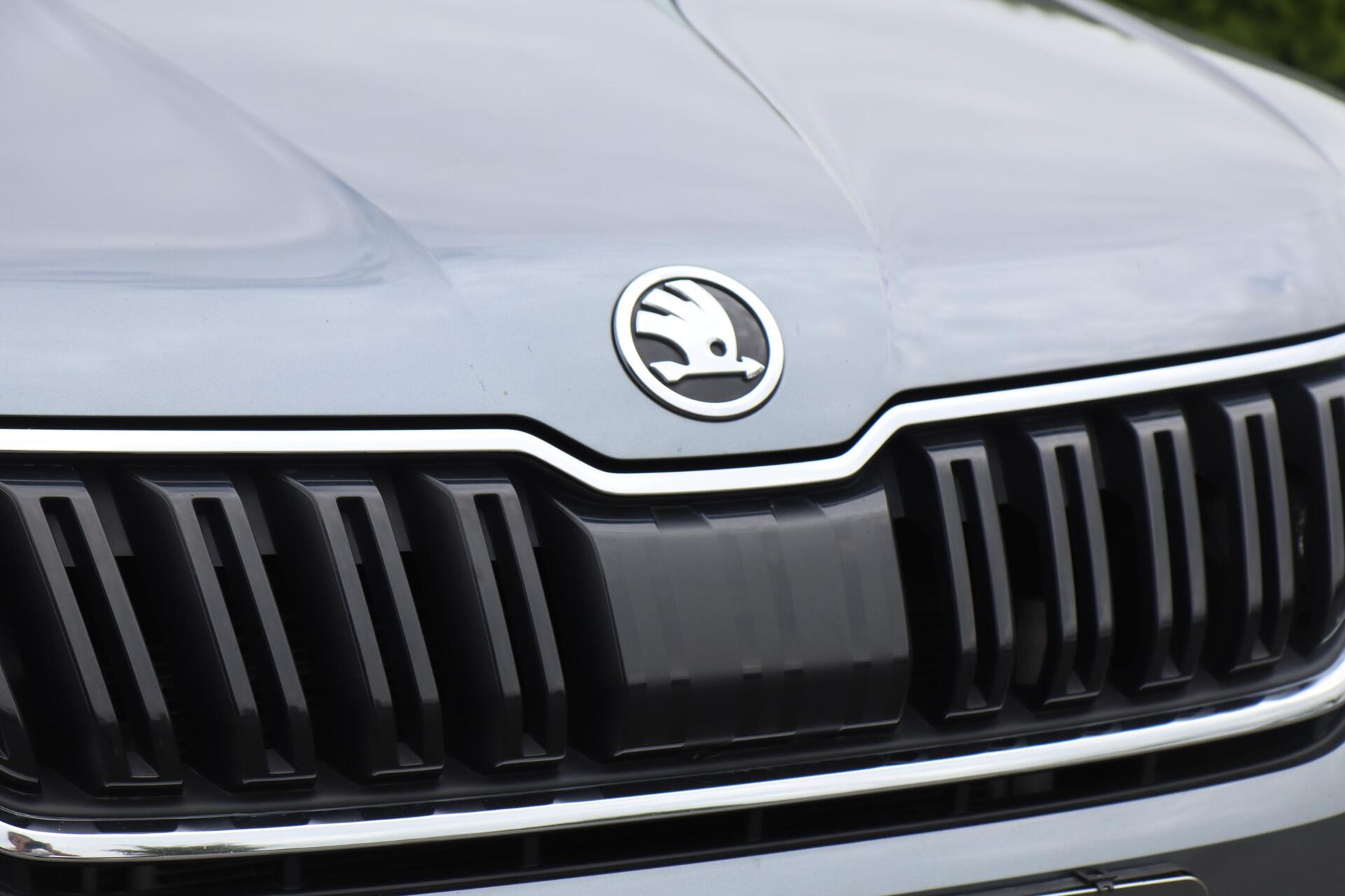 Foto van Skoda Kodiaq
