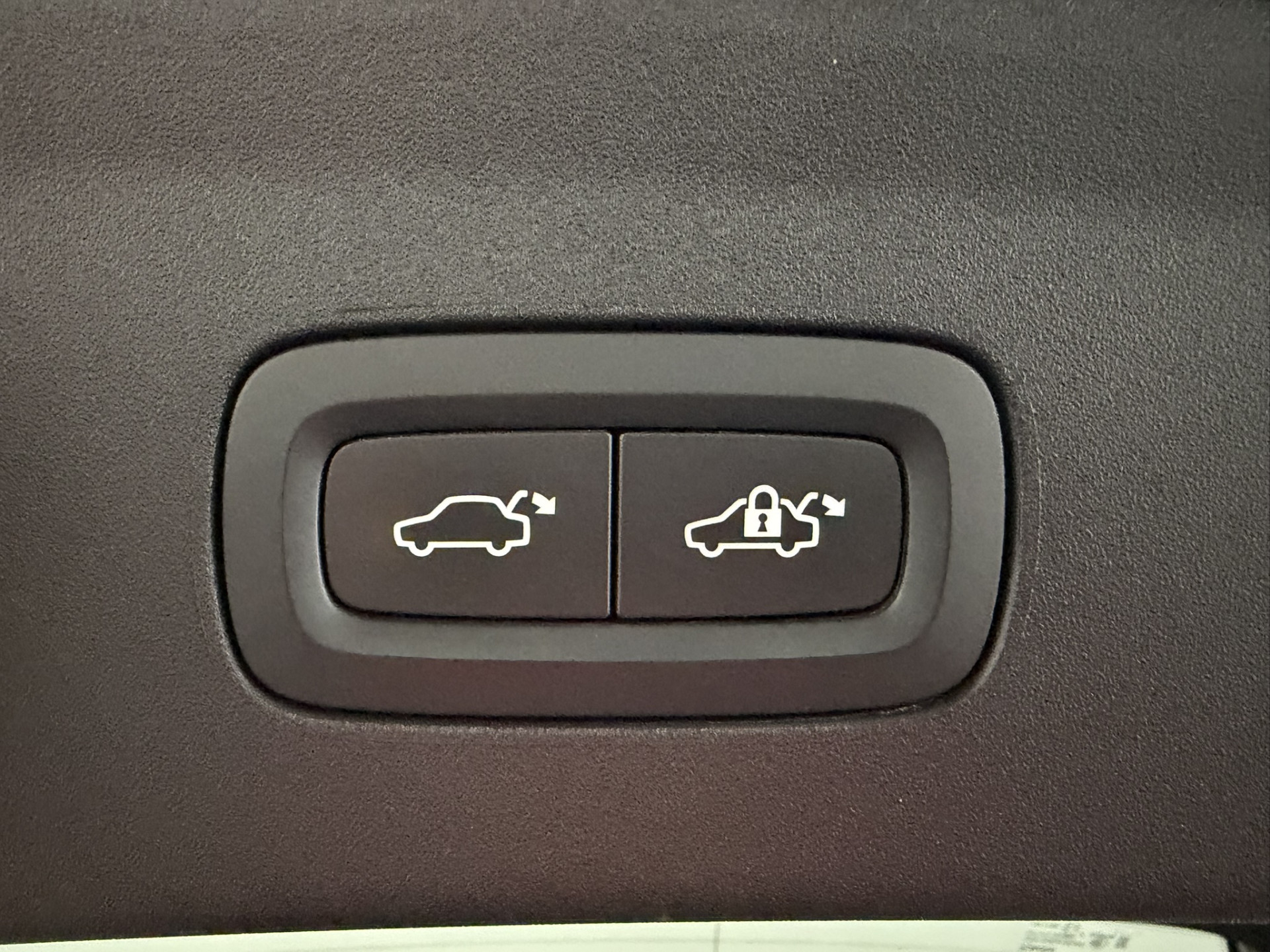 Foto van Polestar Polestar 2