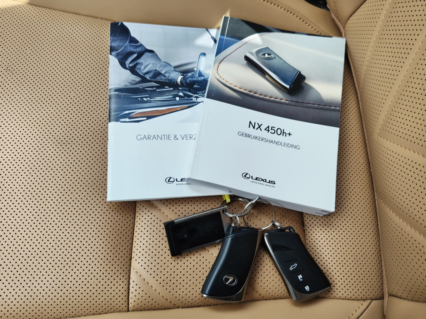 Foto van Lexus Lexus Nx450h+