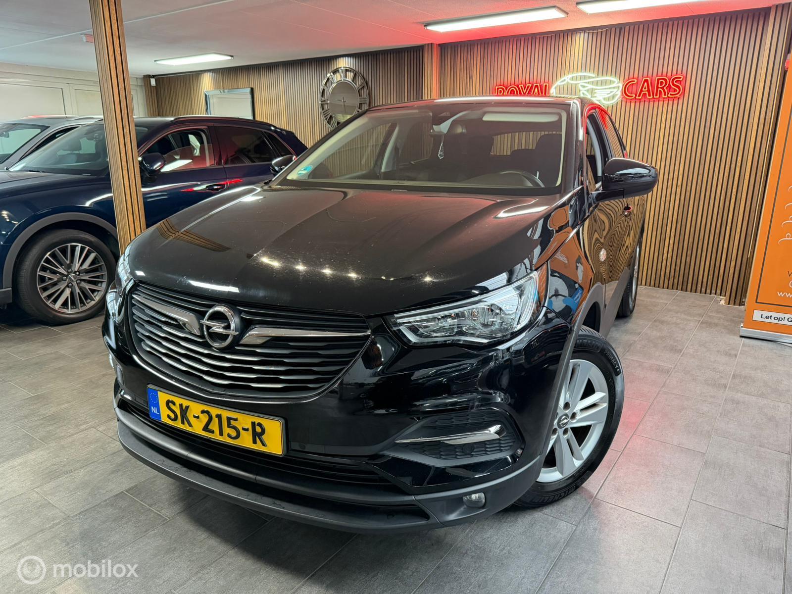 Foto van Opel Grandland X