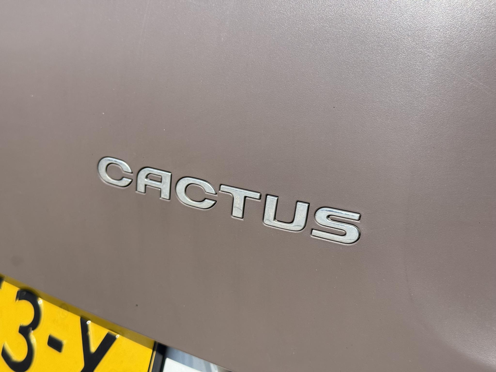 Foto van Citroen C4 Cactus