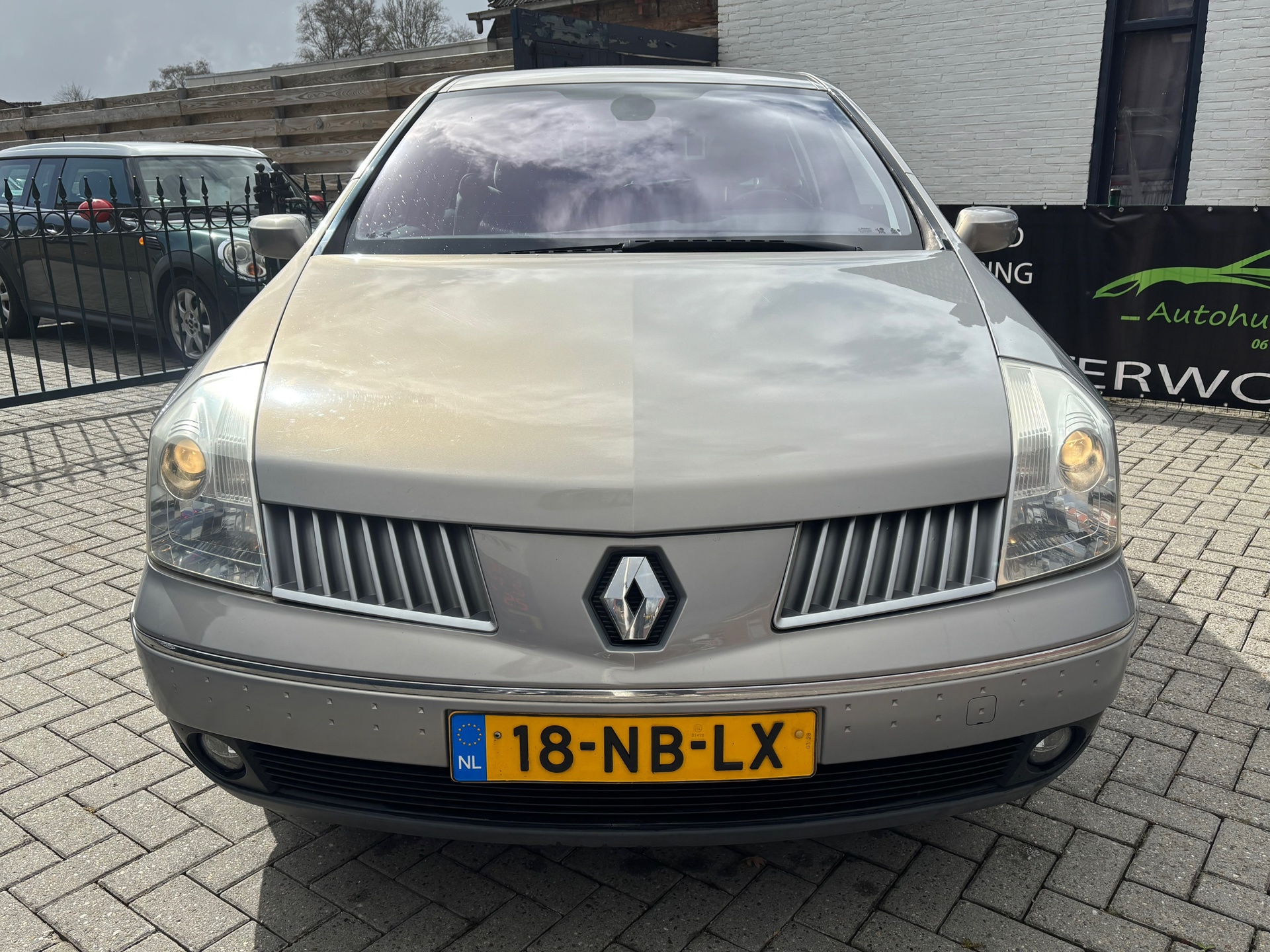 Foto van Renault Vel Satis