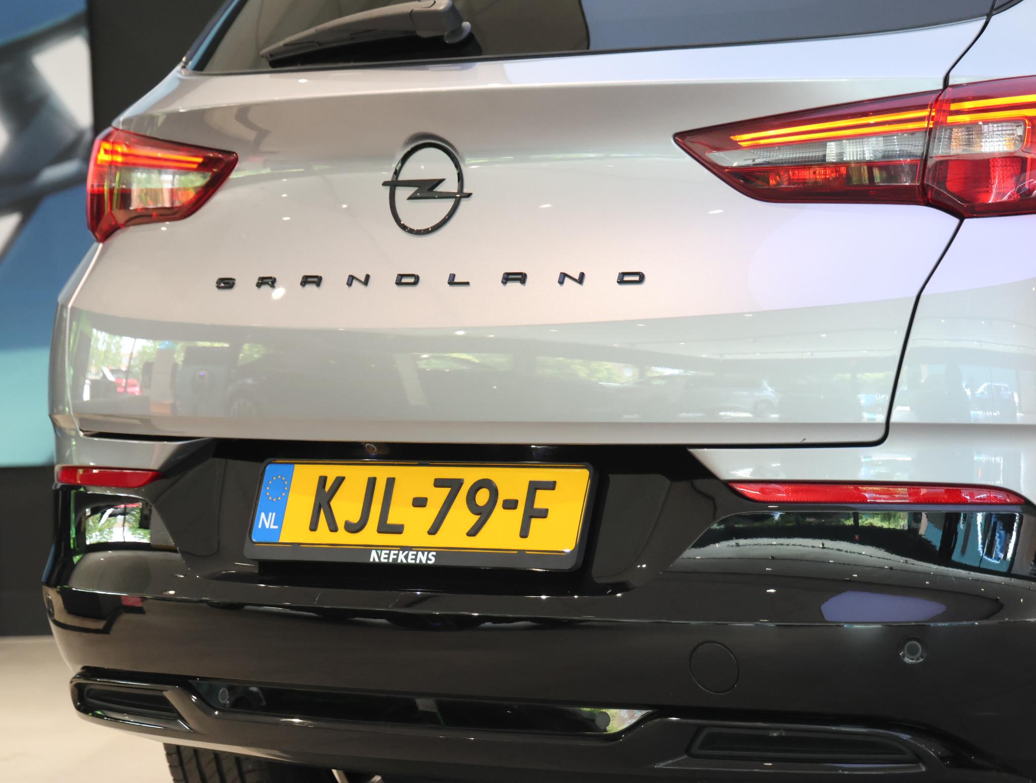Foto van Opel Grandland