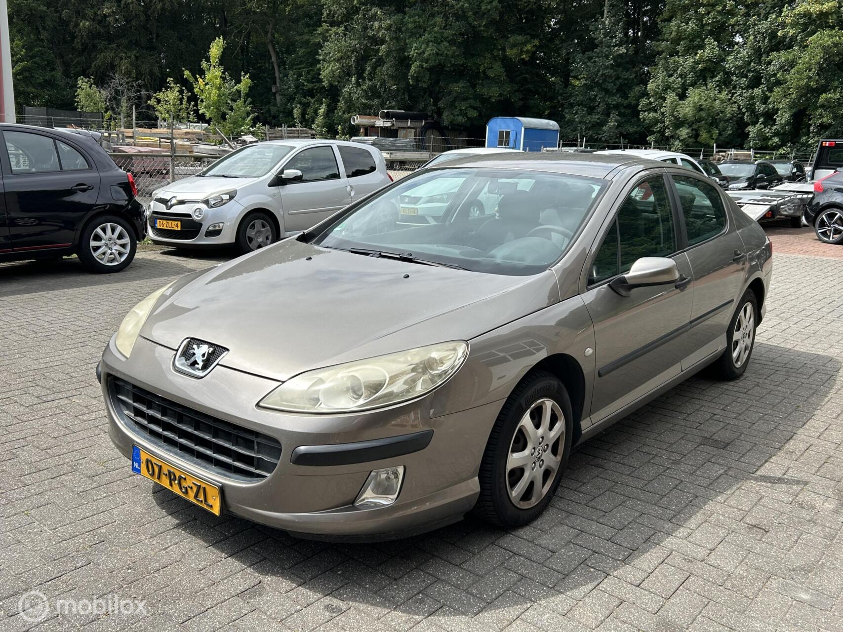 Foto van Peugeot 407