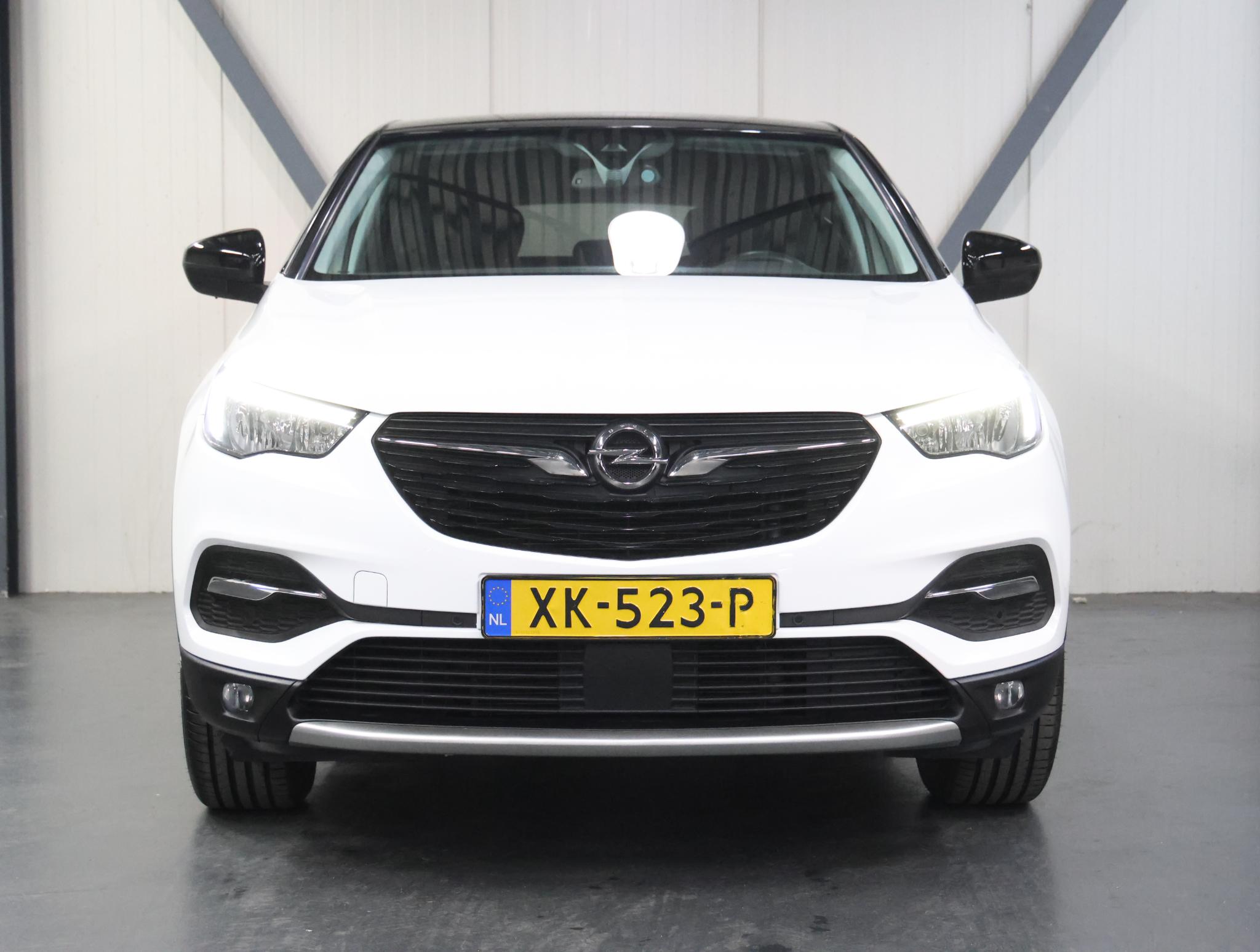 Foto van Opel Grandland X